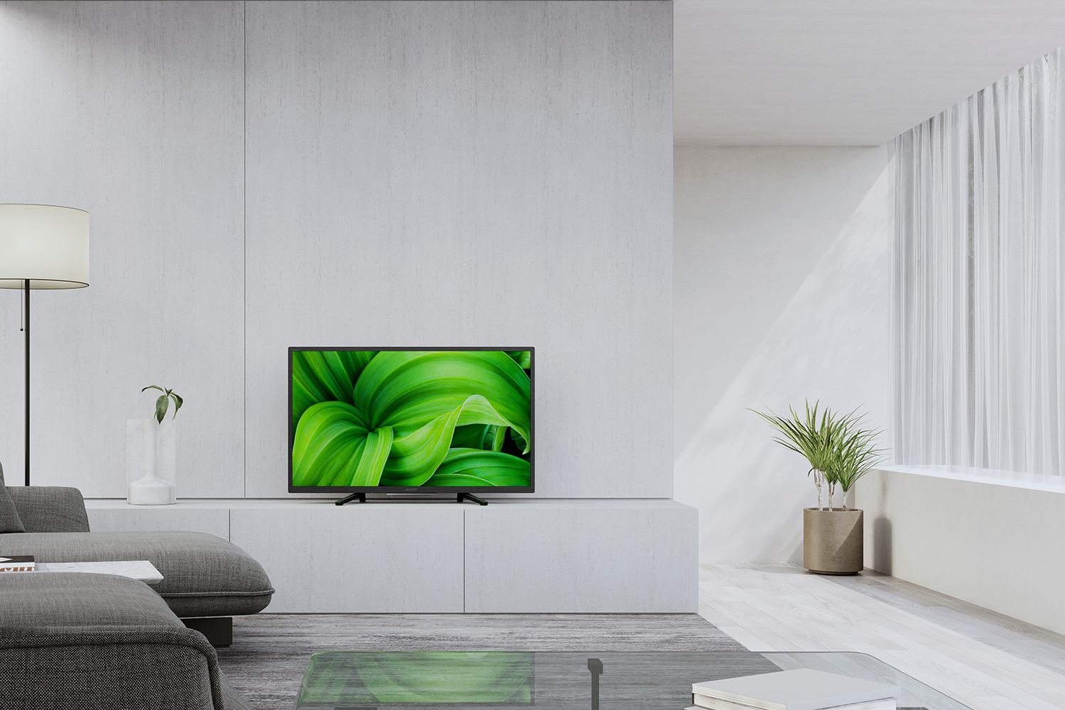Moderne woonkamer met een tv op een witte kast, een bank en een grote groene plant op het scherm.
