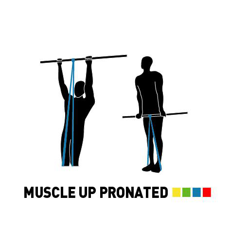 Diagramm von zwei Personen, die Muscle-Up-Übungen mit proniertem Griff machen.