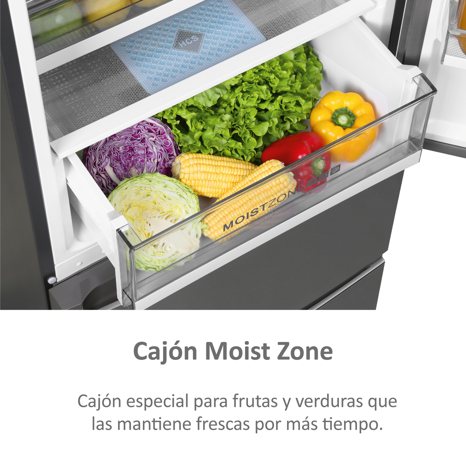 Interior de un cajón de nevera con verduras: repollo, maíz, pimientos y lechuga.