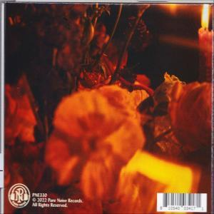 Senses Fail - Hell Is In Your Head  - (CD)