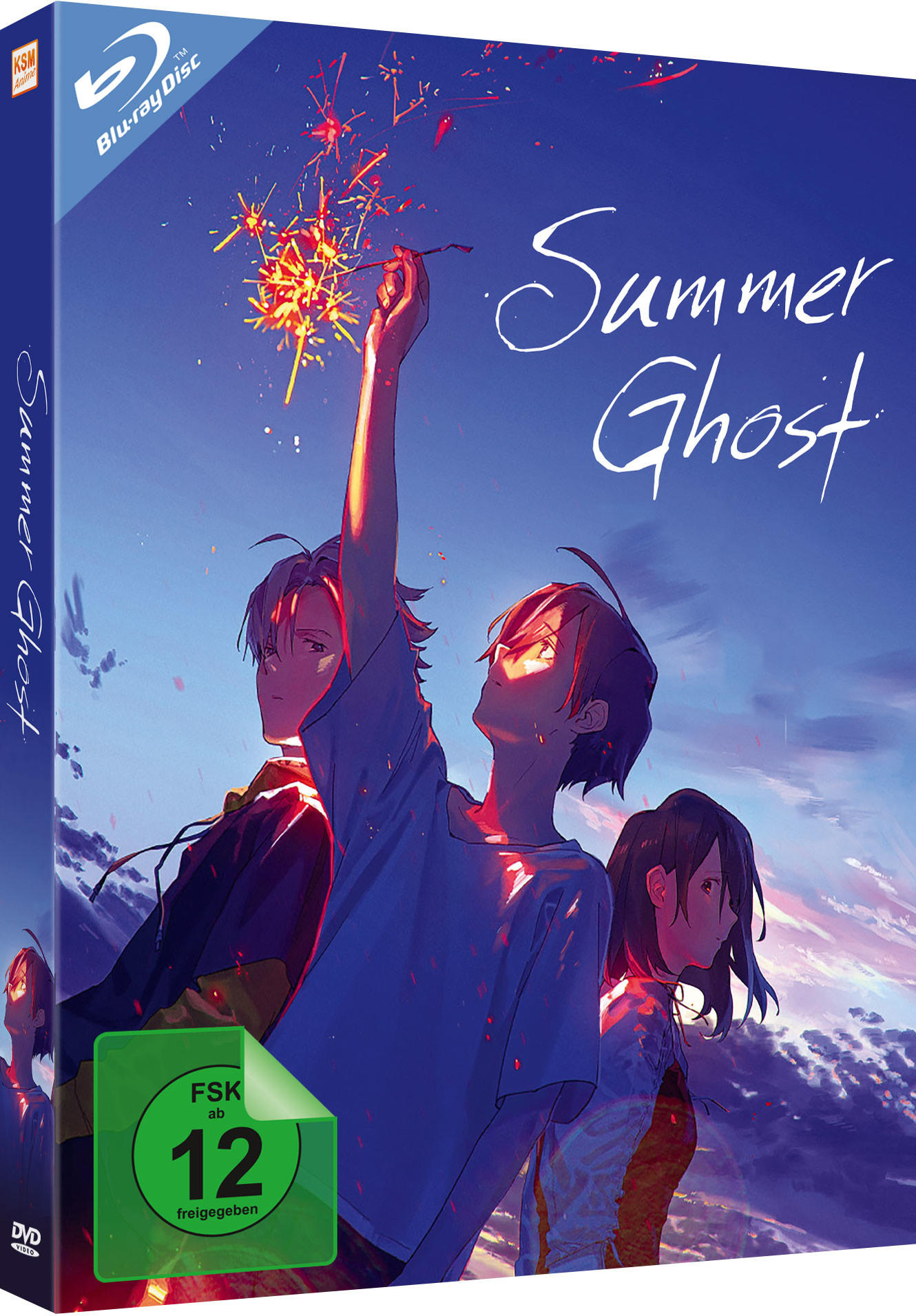 Anime-DVD-Box, drei Charaktere, Feuerwerk am Himmel.