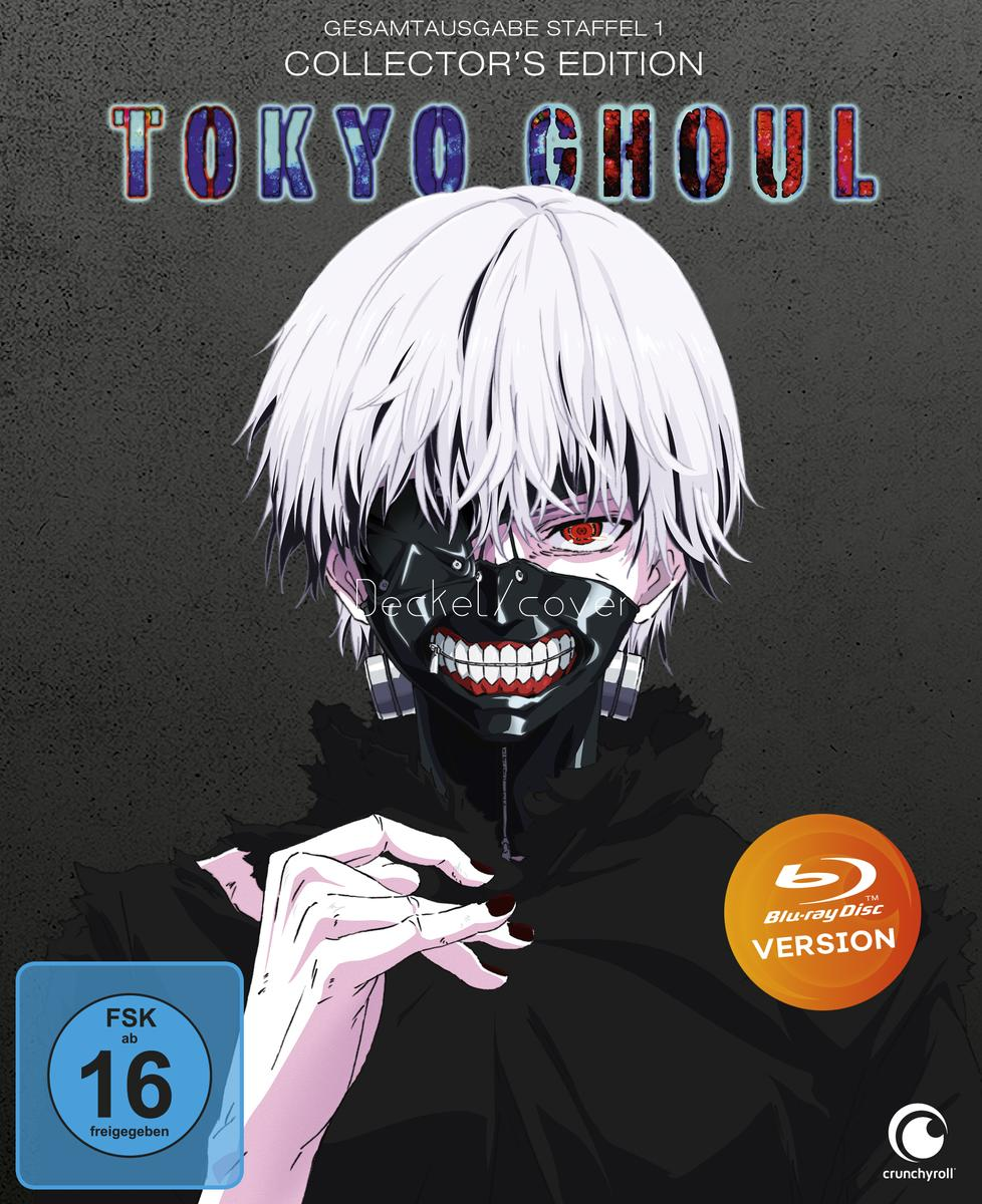 Anime-Charakter mit weißen Haaren und Maske auf Blu-ray-Disc-Cover.