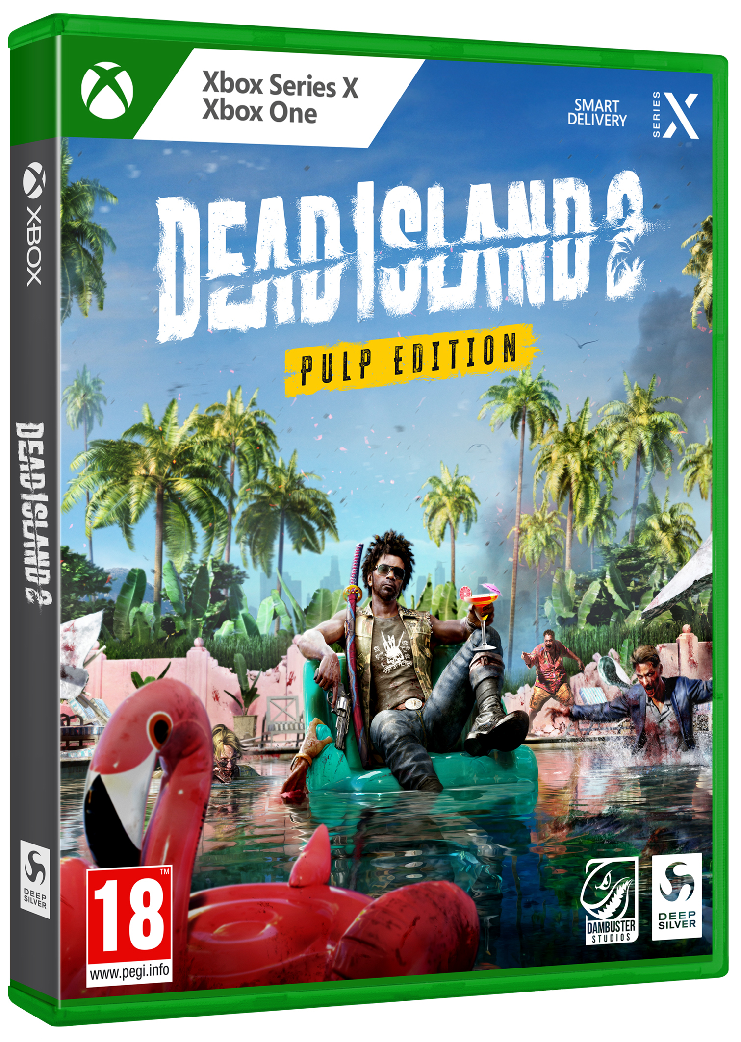 Videospielbox mit einem Mann auf einem Schwimmer, einem Flamingo-Schwimmer und Palmen.