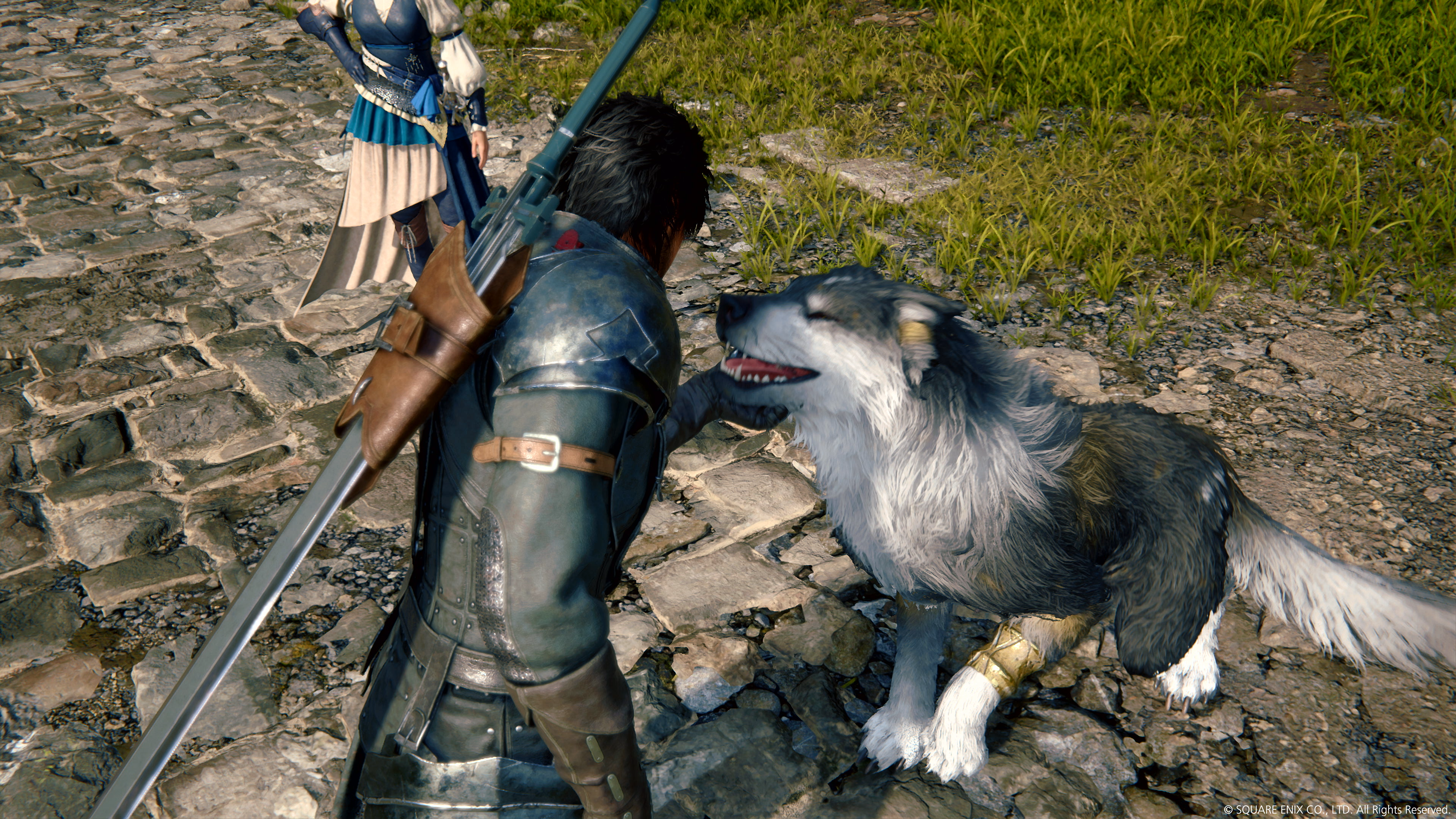 Un chevalier avec une épée caresse un loup.