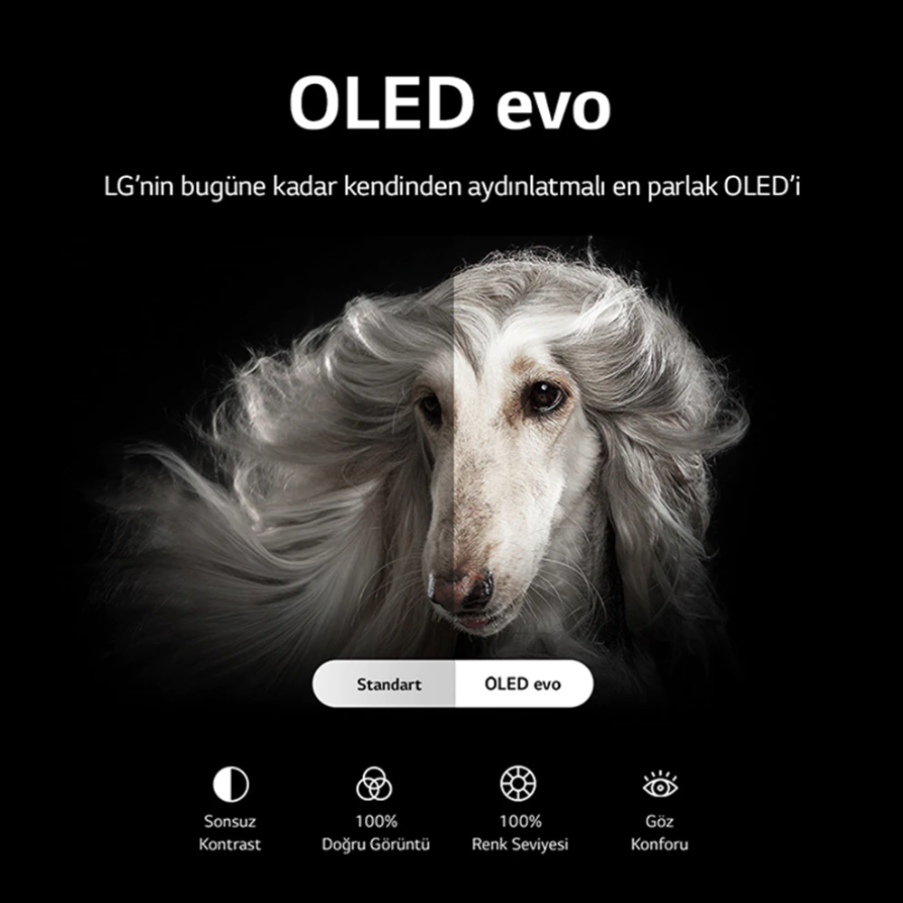 LG OLED77C2 77" 195 Ekran Uydu Alıcılı Smart 4K Ultra HD OLED TV