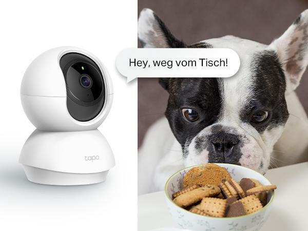 Weiße Überwachungskamera mit Hund und Keksschüssel. Sprechblase vorhanden.