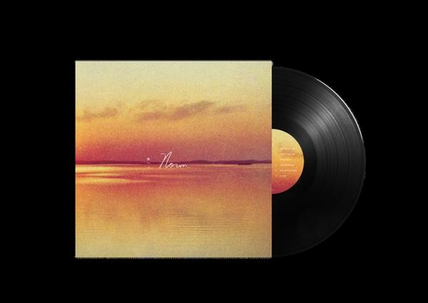 Andy Shauf - Norm LP