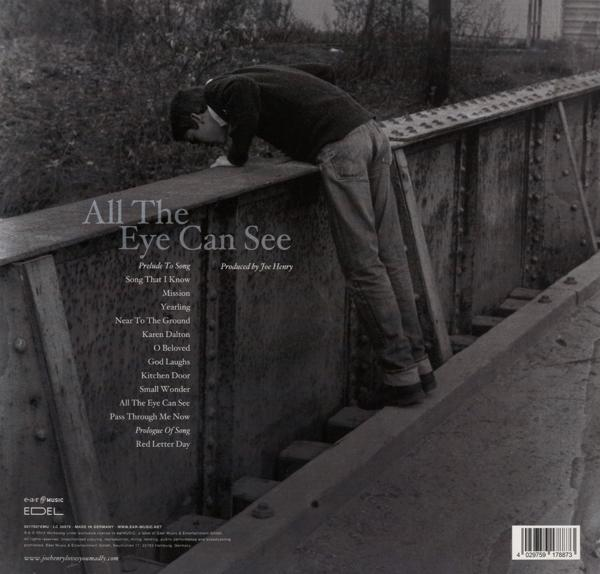 Joe Henry - All The Eye Can See (2LP/180g)  - (Vinyl)