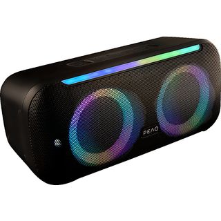 PEAQ PPS 100 PARTY SPEAKER