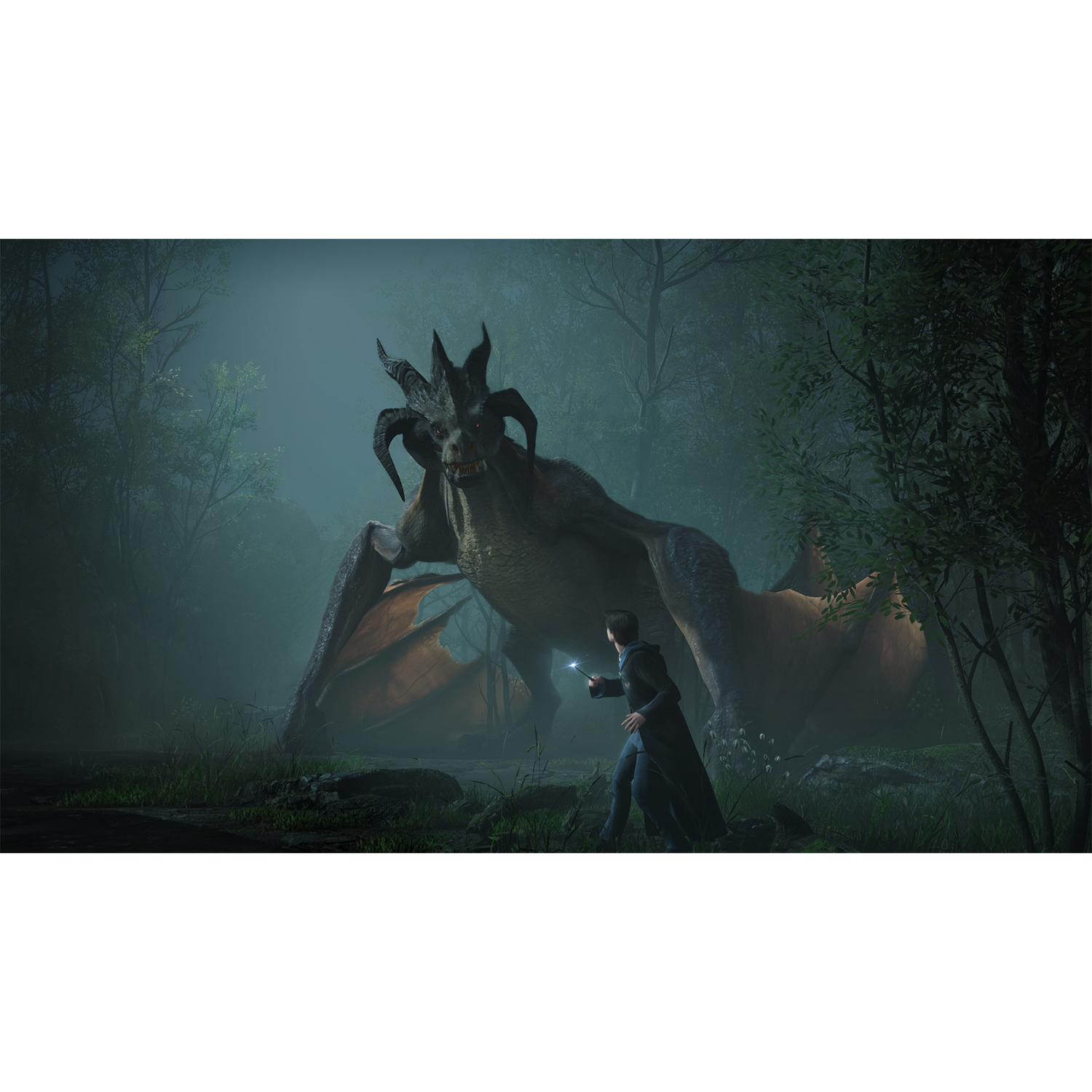 Una persona di fronte a un drago in una foresta.