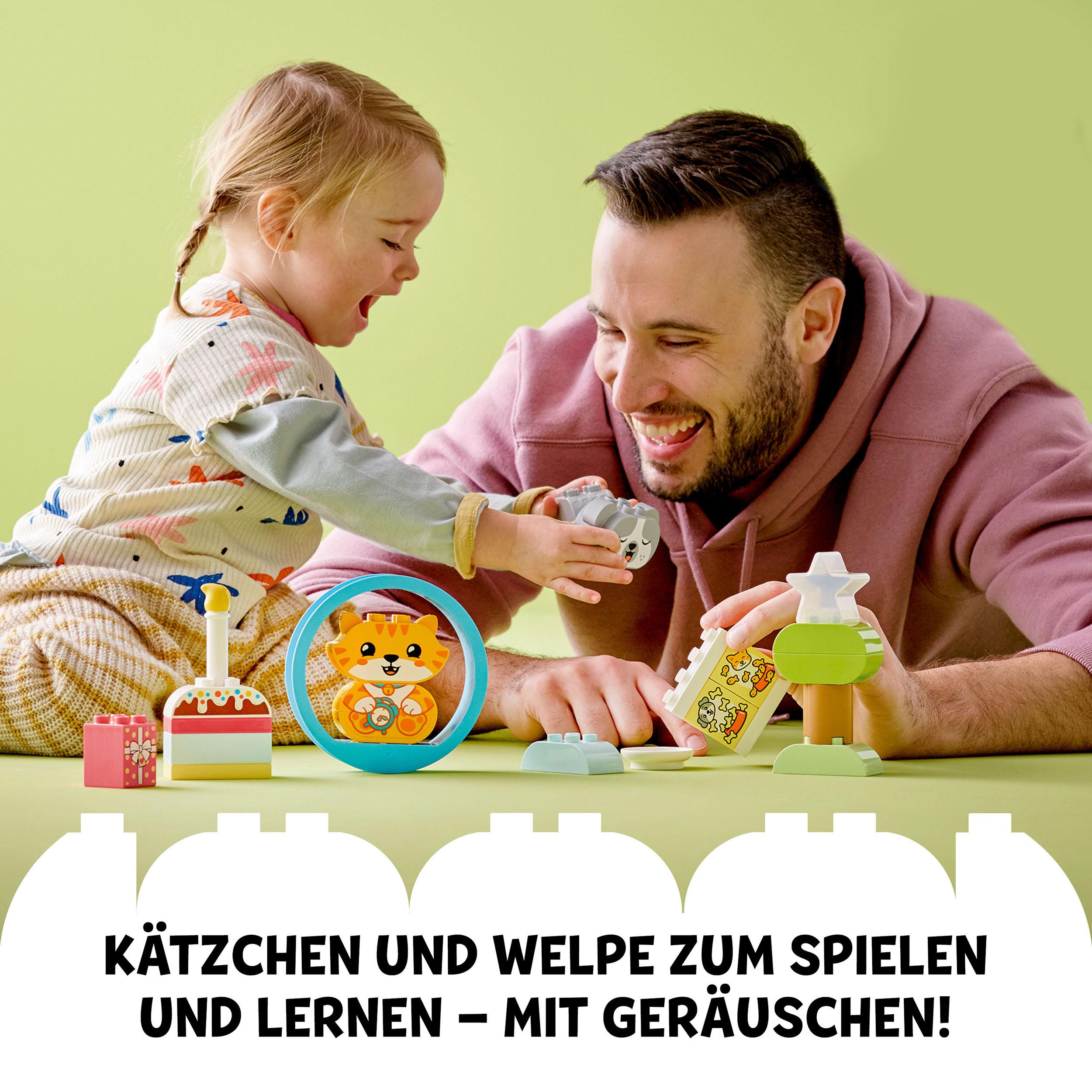 Geschirrspüler-Innenraum mit Gestellen und offener Tür.