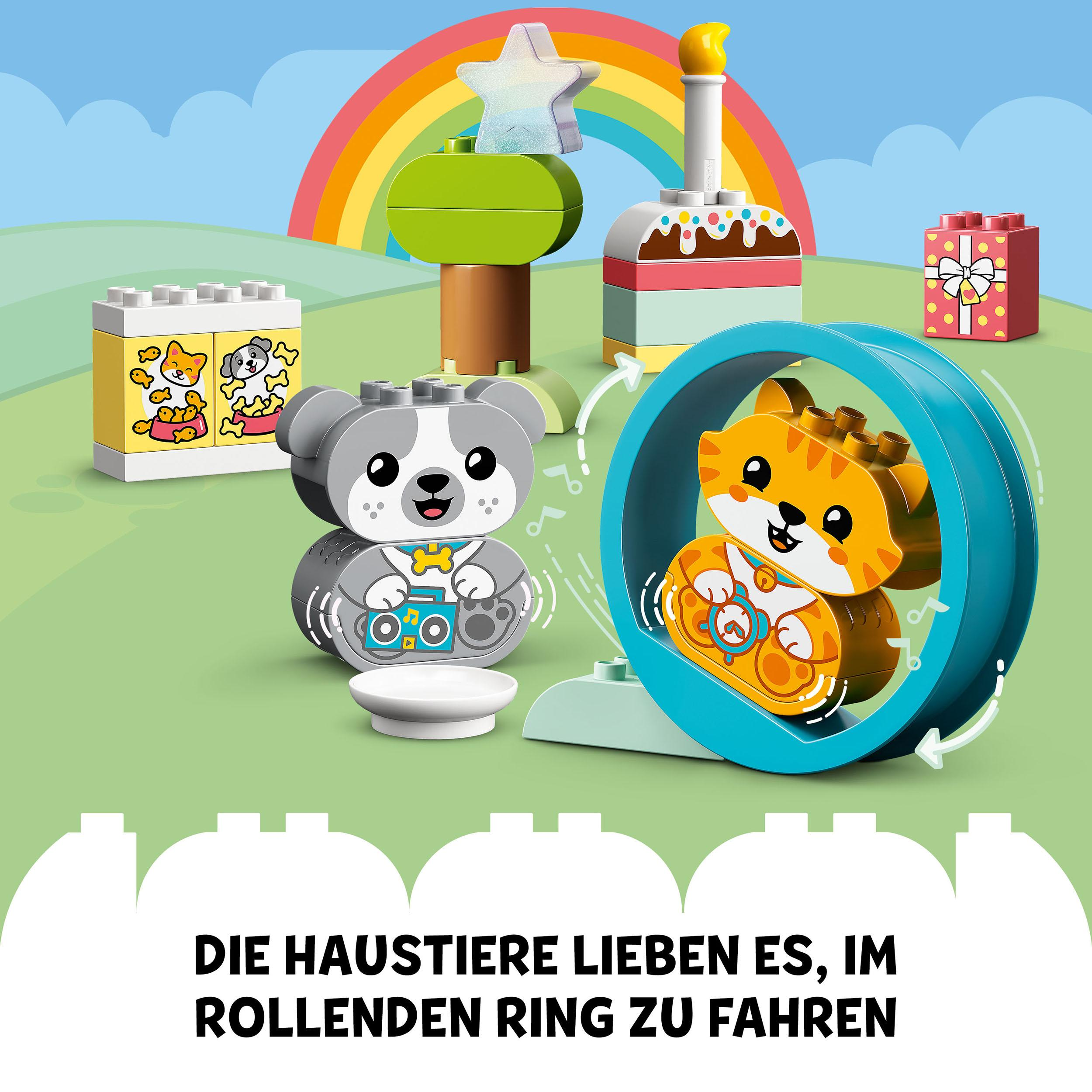 Lego Duplo Set mit Katze, Hund und anderen bunten Blöcken und Spielzeug.