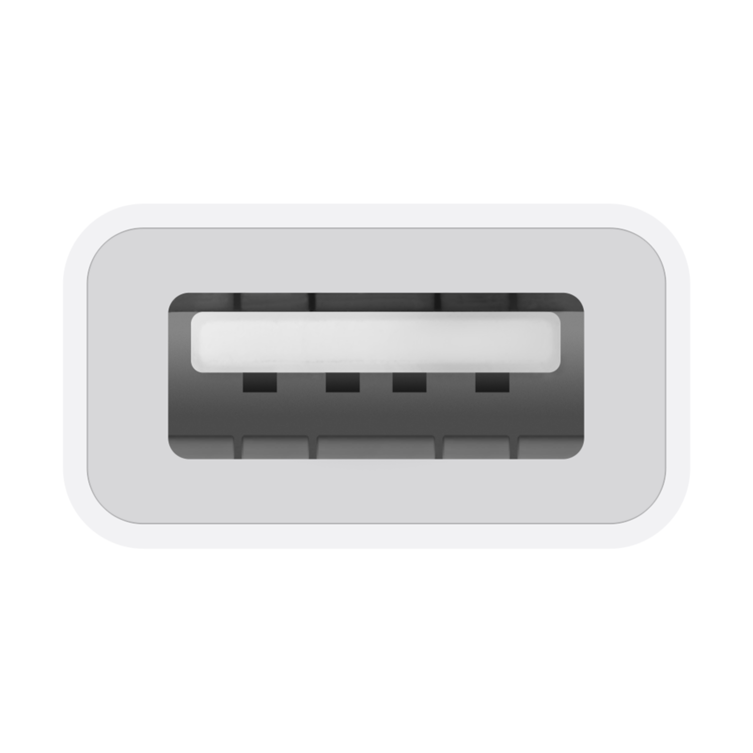 Close-up of a white USB-A port, rectangular with gray interior and black connectors.