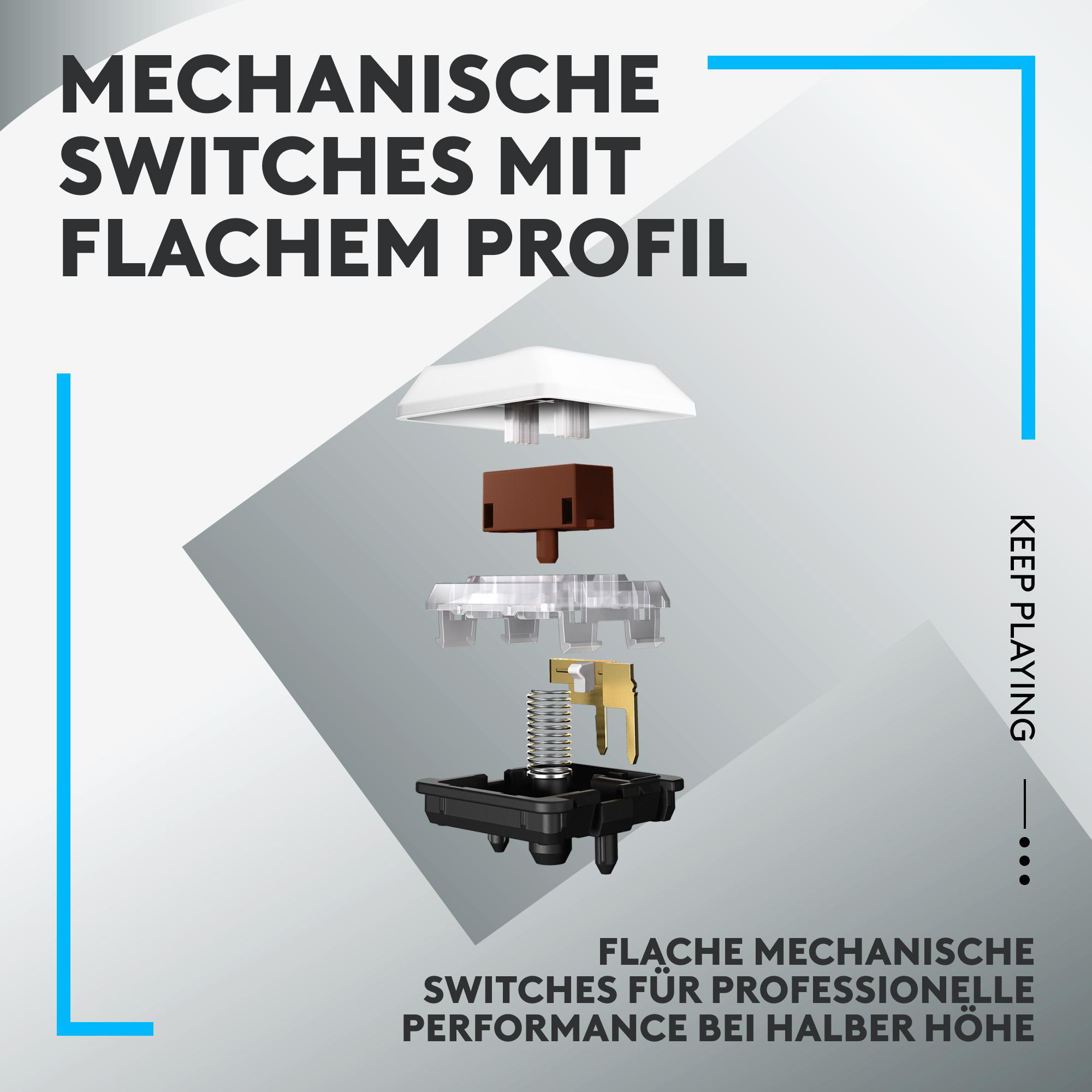 Explosionsansicht von mechanischen Tastaturschaltern mit flachem Profil, zeigt Komponenten und Schichten.