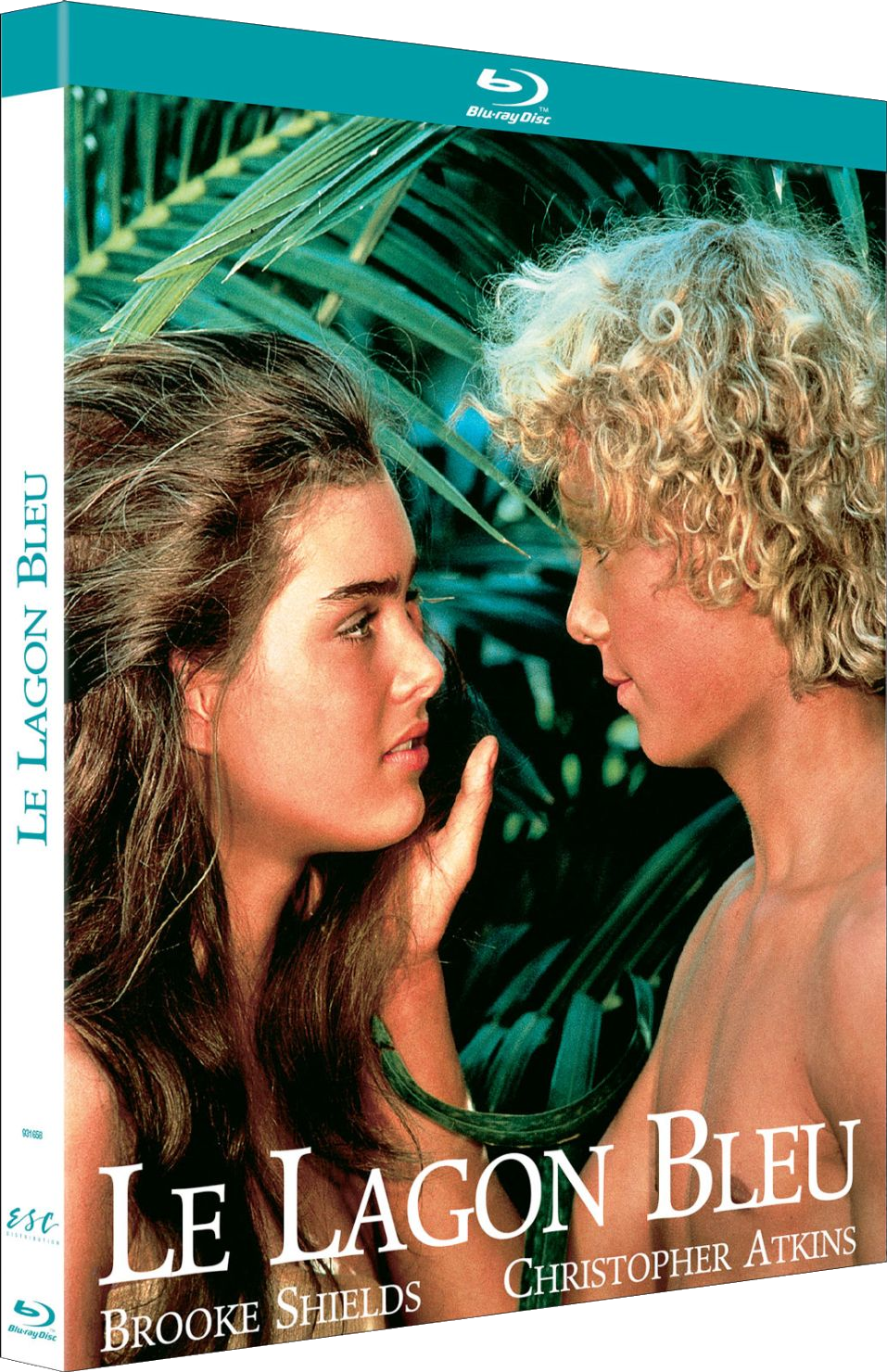 Couverture DVD: Deux personnes se regardant dans l'océan, texte indiquant Le Lagon Bleu.