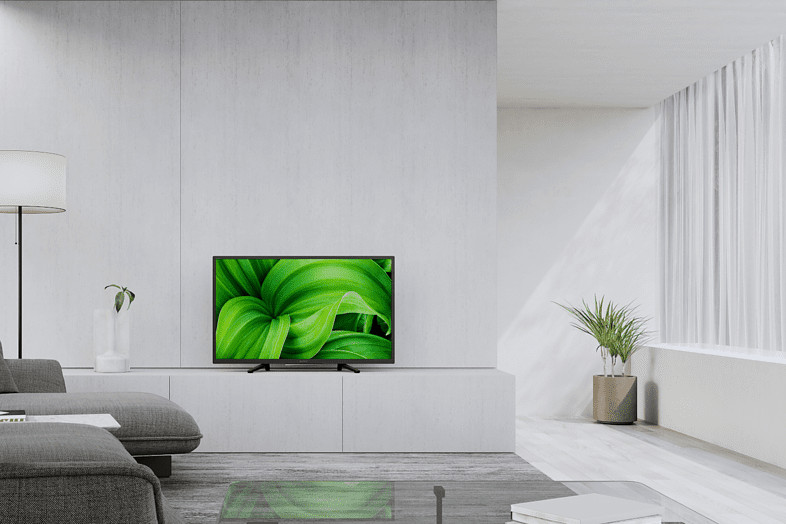 Salon avec un écran de télévision affichant des feuilles vertes.