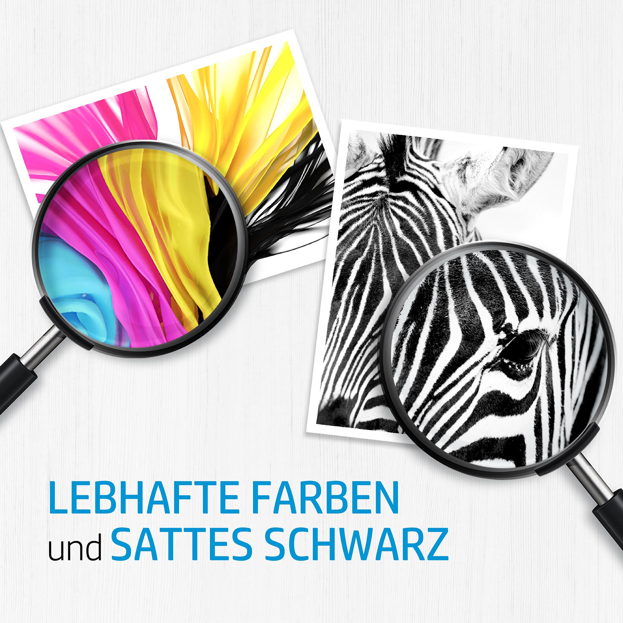 Vergrößerungsgläser auf Ausdrucken von farbigen und schwarz-weißen Bildern. Farben und Zebra.