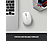 LOGITECH M171 - Souris sans fil (gris blanc)
