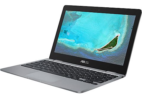 ASUS Chromebook Z1100CNA-GJ0104 Intel Celeron N3350 (90NX01Q1-M000C0)