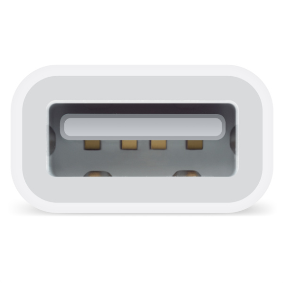 Een close-up van de binnenkant van een USB-C-poort, met de interne pinnen van de connector.