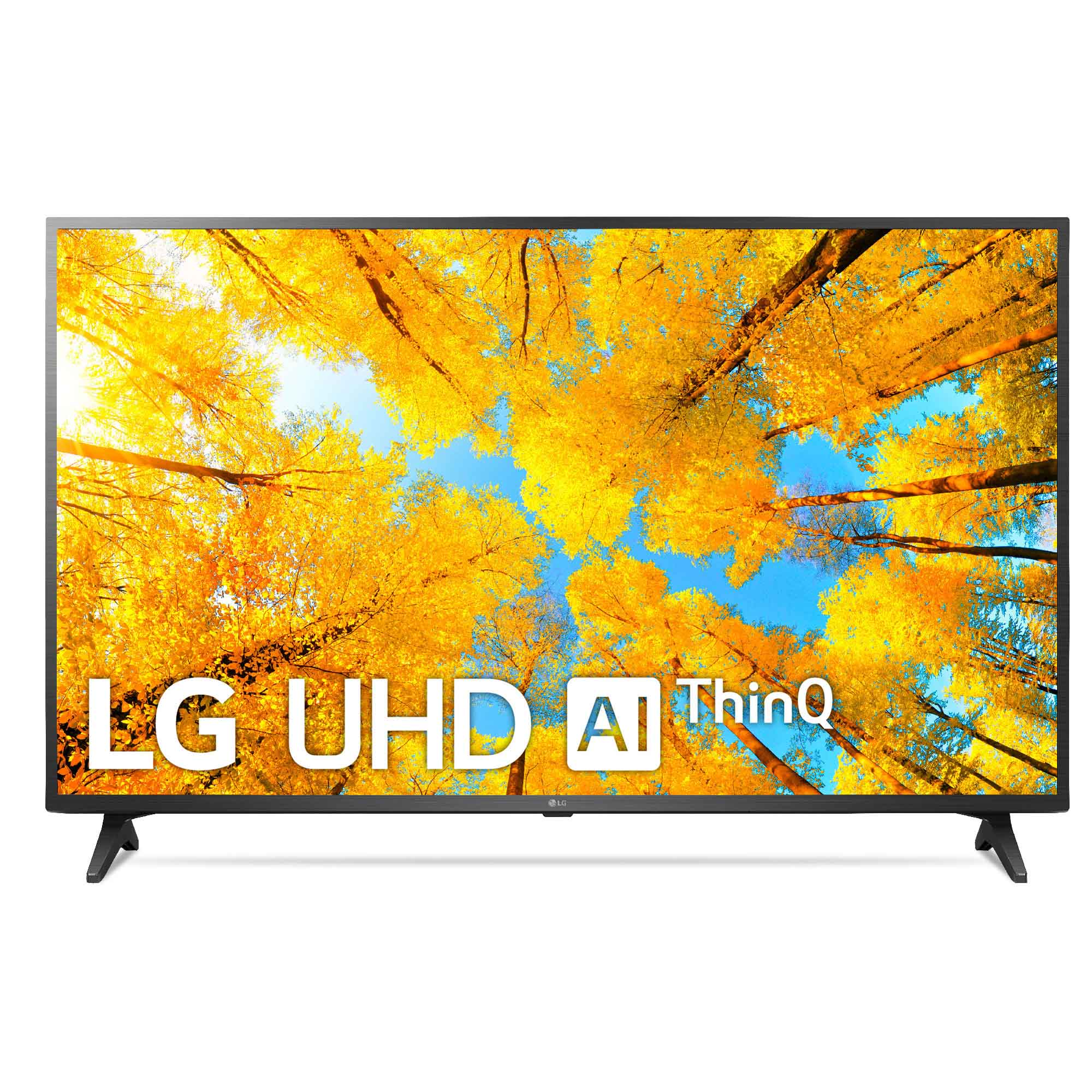 Un televisor LG que muestra una vibrante escena de bosque otoñal.