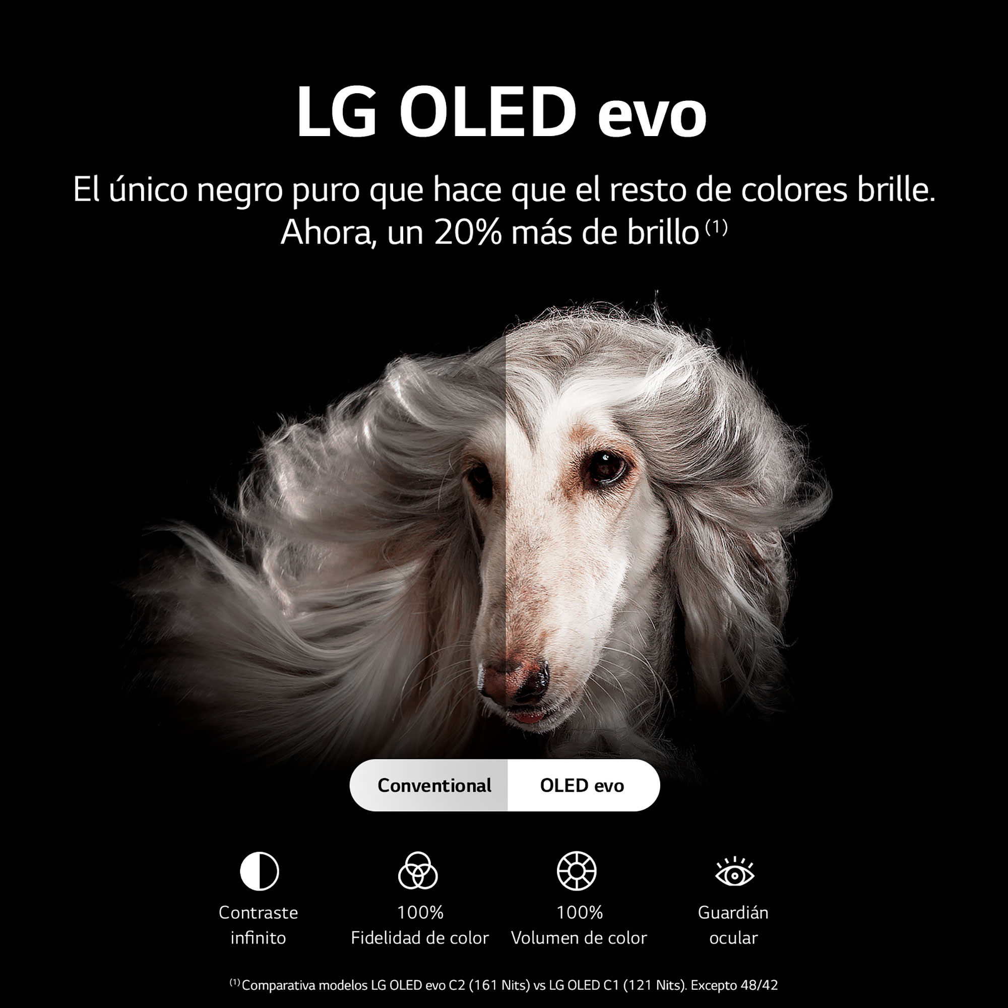 Imagen muestra un perro, mitad en blanco y negro, con texto sobre TV LG OLED evo.