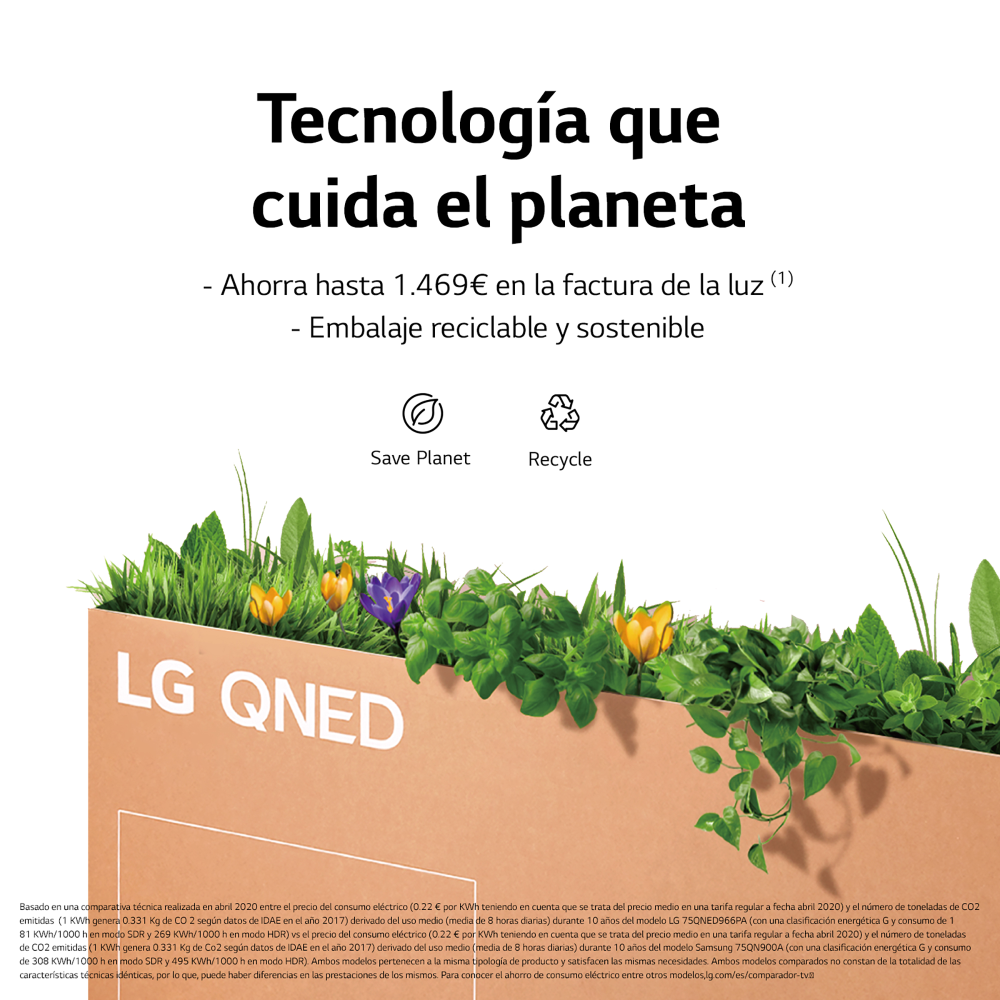 Texto en español sobre el ahorro de energía y el reciclaje. Flores y plantas coloridas visibles en el fondo.
