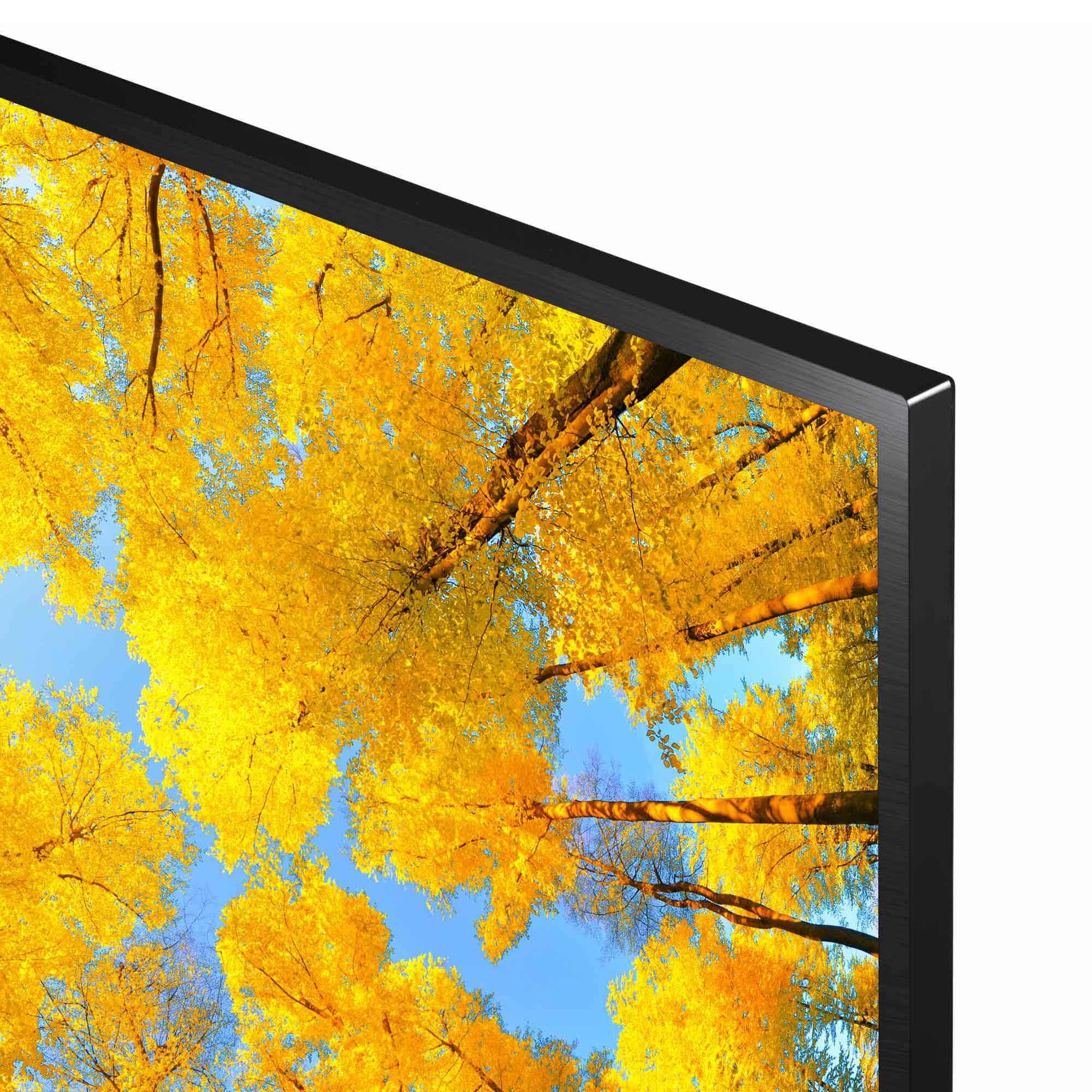Primer plano de una pantalla de TV. La pantalla muestra árboles amarillos contra un cielo azul, vistos desde abajo.