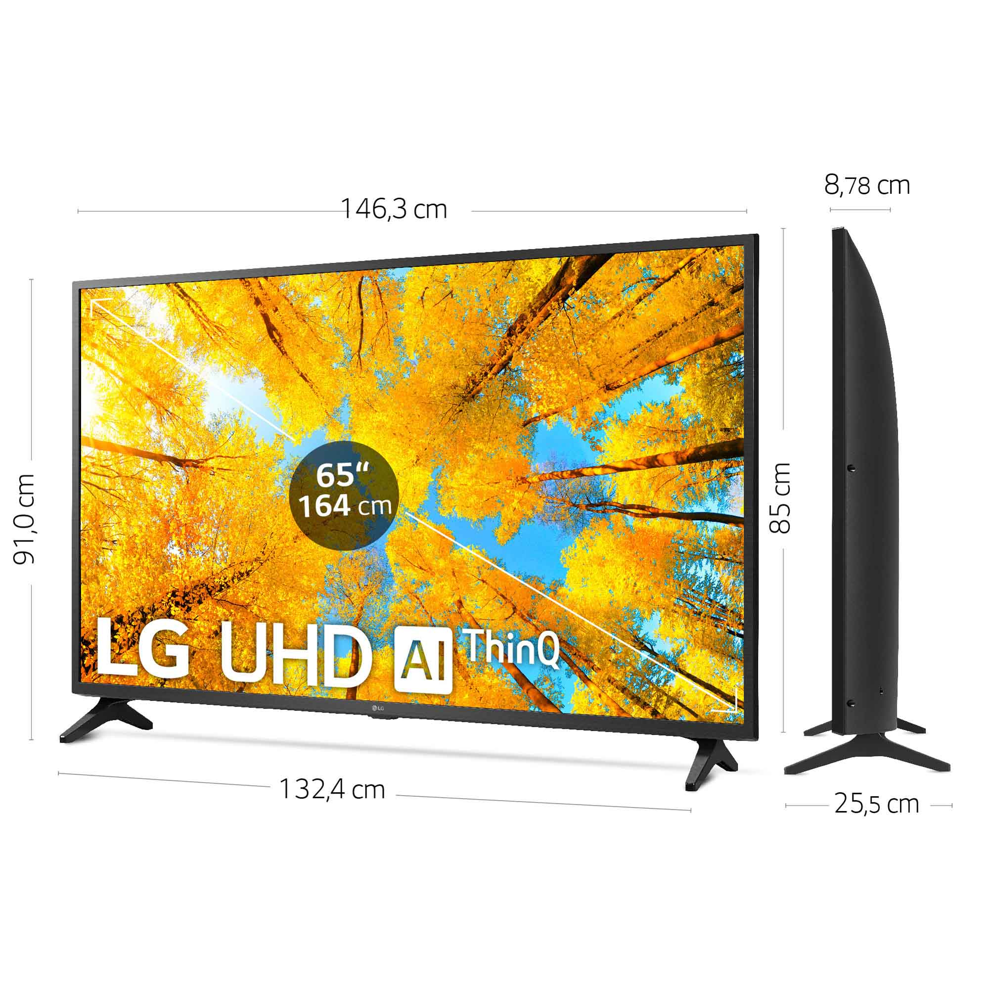 Televisor LG con dimensiones en cm. La pantalla muestra hojas de otoño amarillas, sobre un soporte.