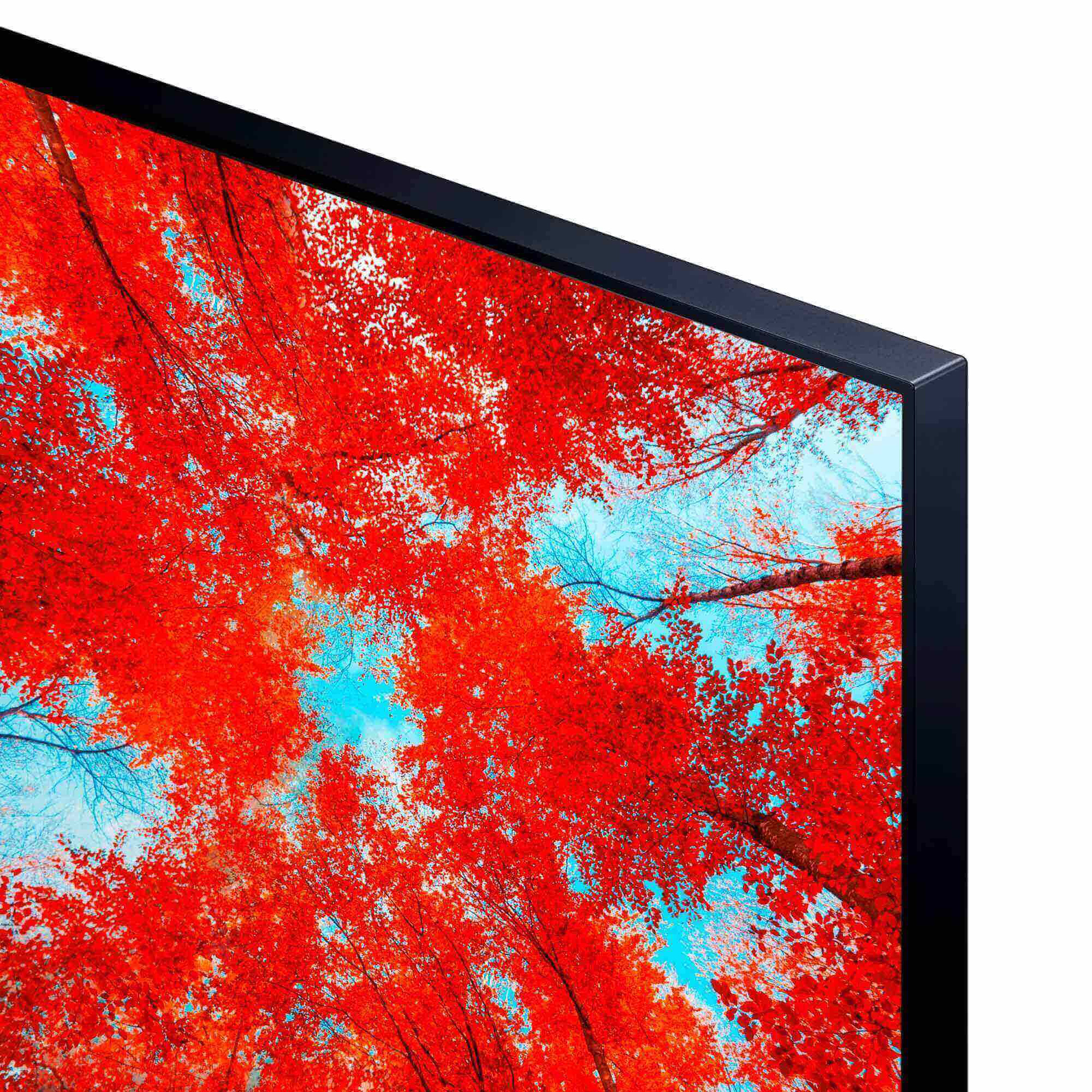 Vista de cerca de un televisor con follaje rojo y cielo azul.