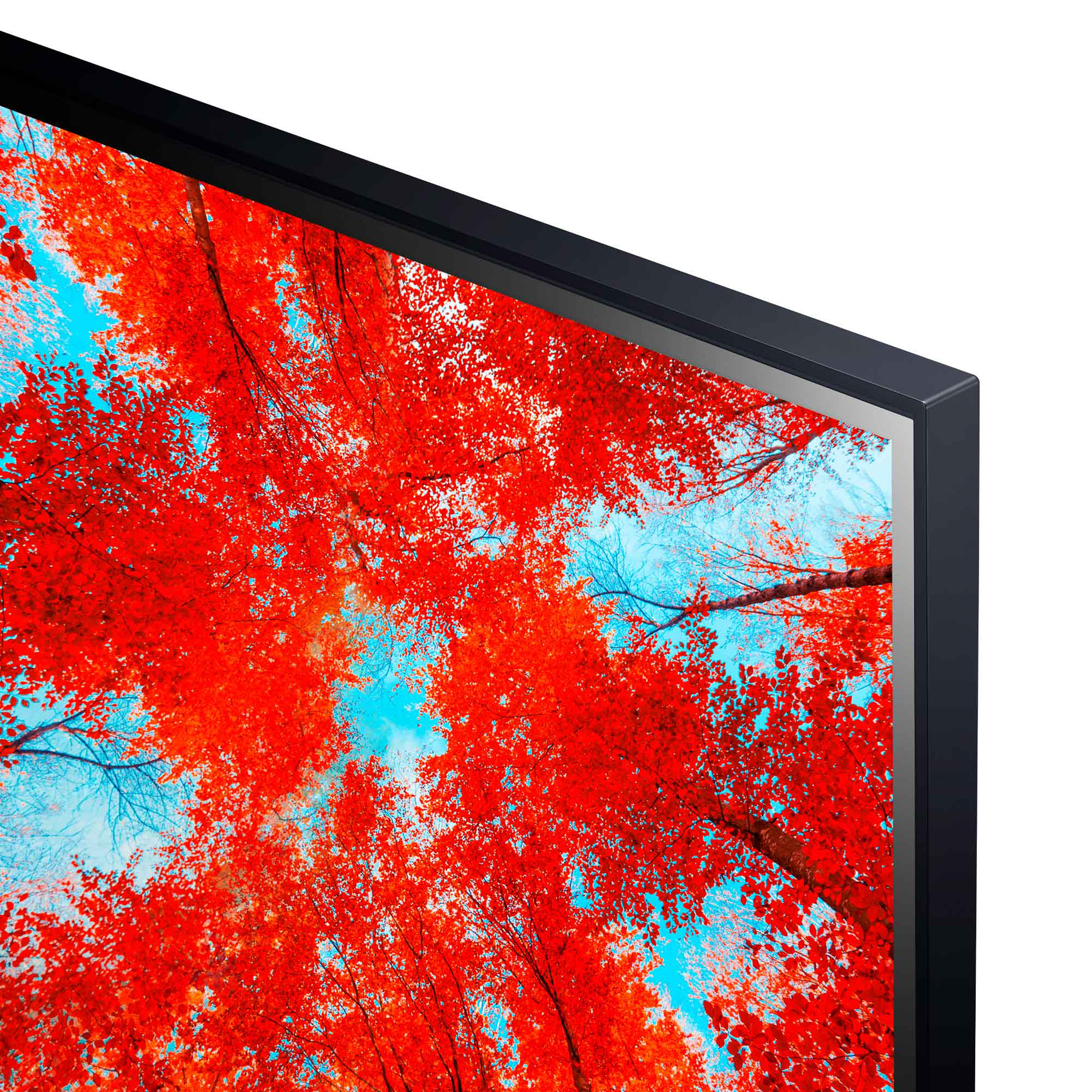 Esquina de un televisor. Los árboles de otoño rojos se reflejan en la pantalla. Se ve el cielo.