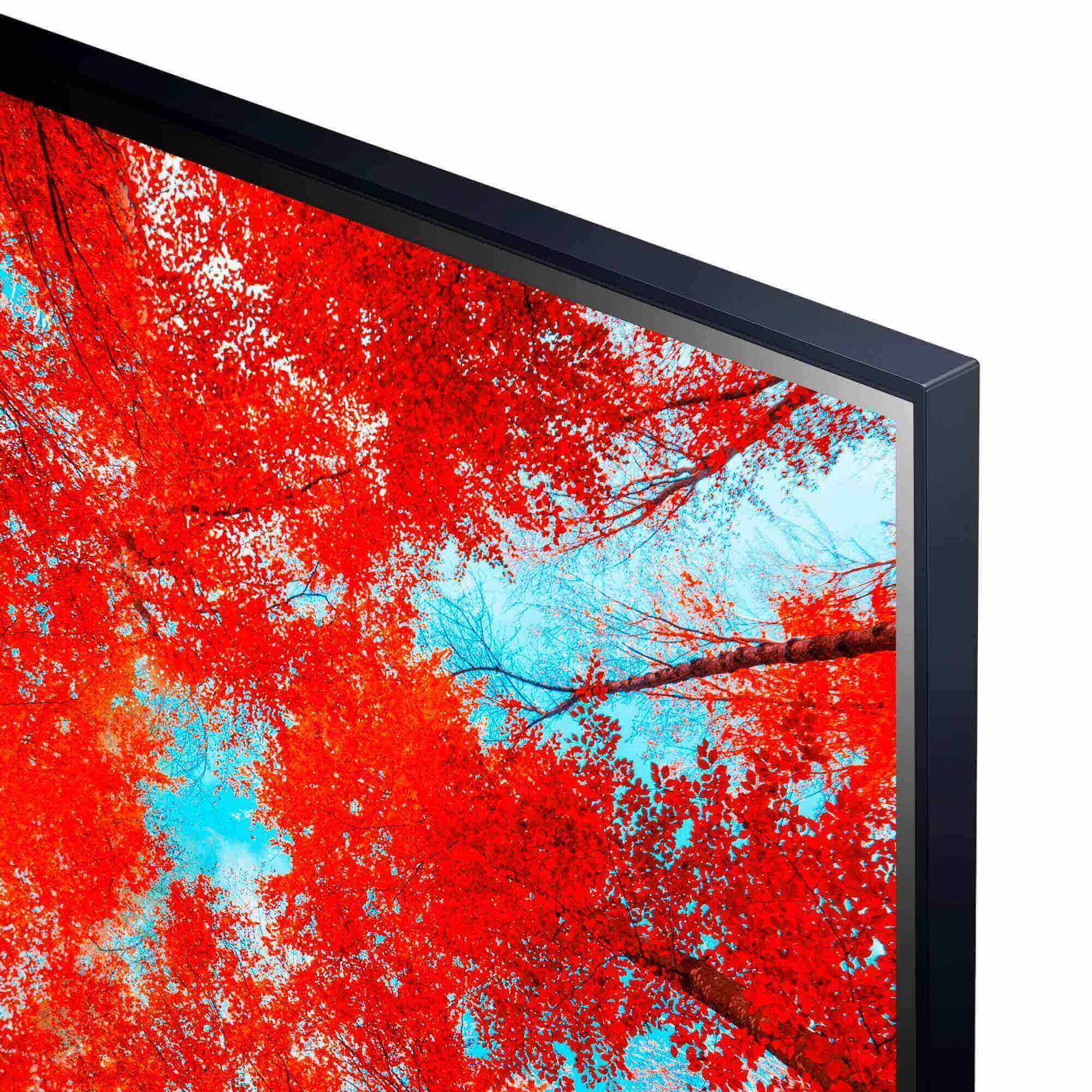 Una pantalla de TV que muestra hojas de otoño rojas y naranjas.