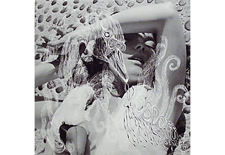 Björk - Vespertine (CD)