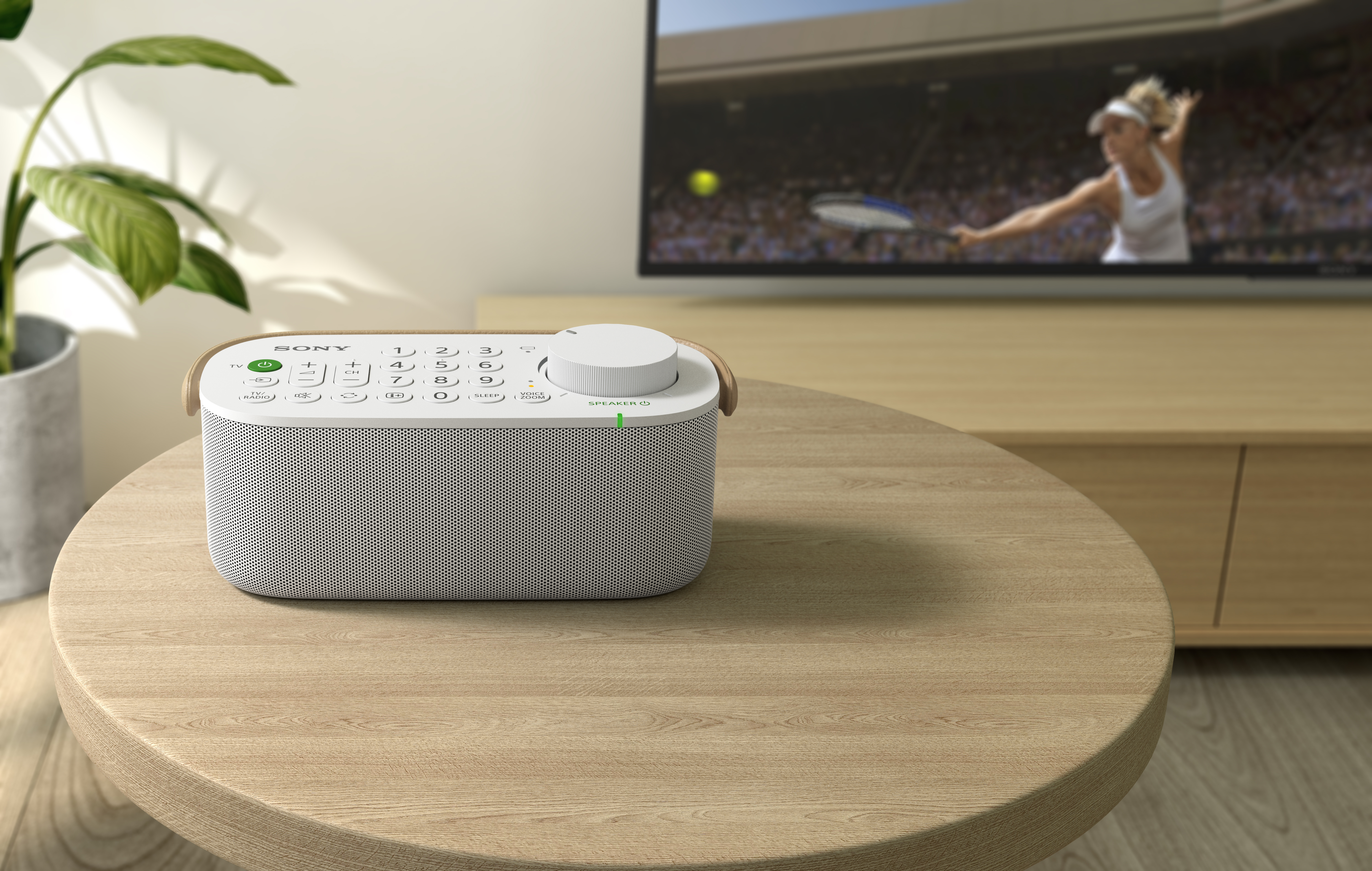 Un altavoz blanco y marrón claro sobre una mesa de madera con un televisor al fondo.