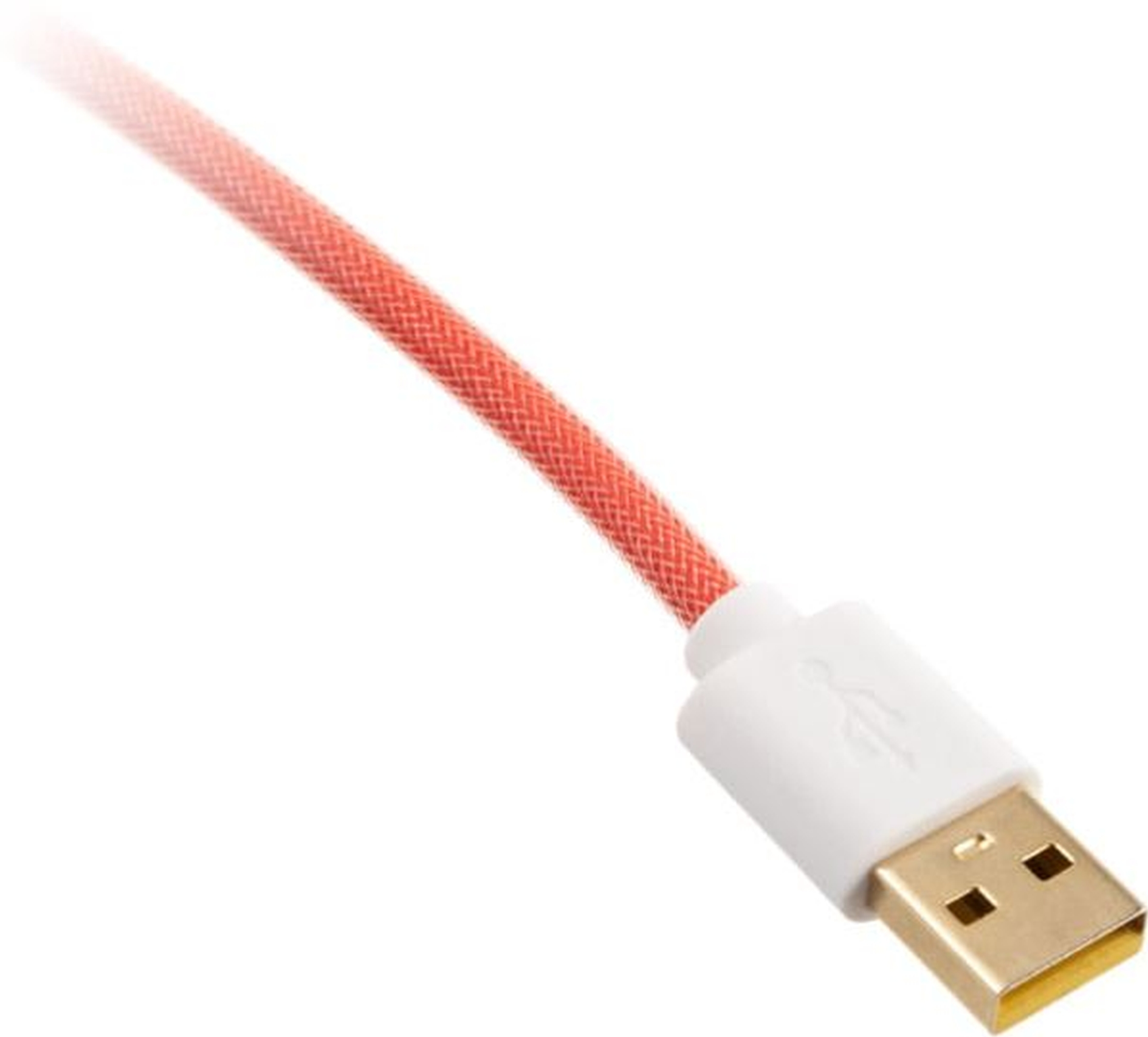 Ein USB-A-Stecker mit einem rot-weiß geflochtenen Kabel.