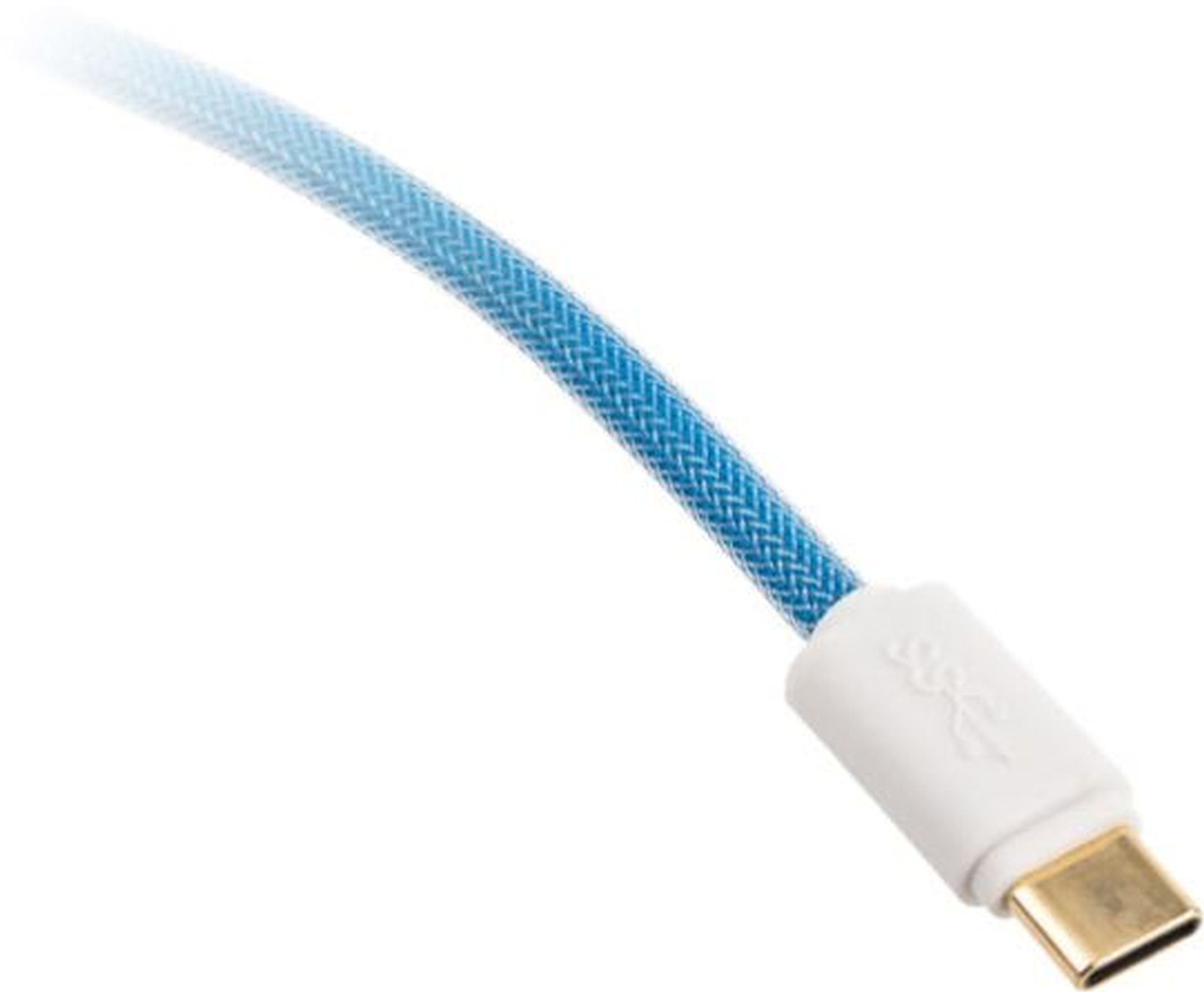 Blau-weißes USB-C-Kabel mit Goldstecker. Weißer Hintergrund.