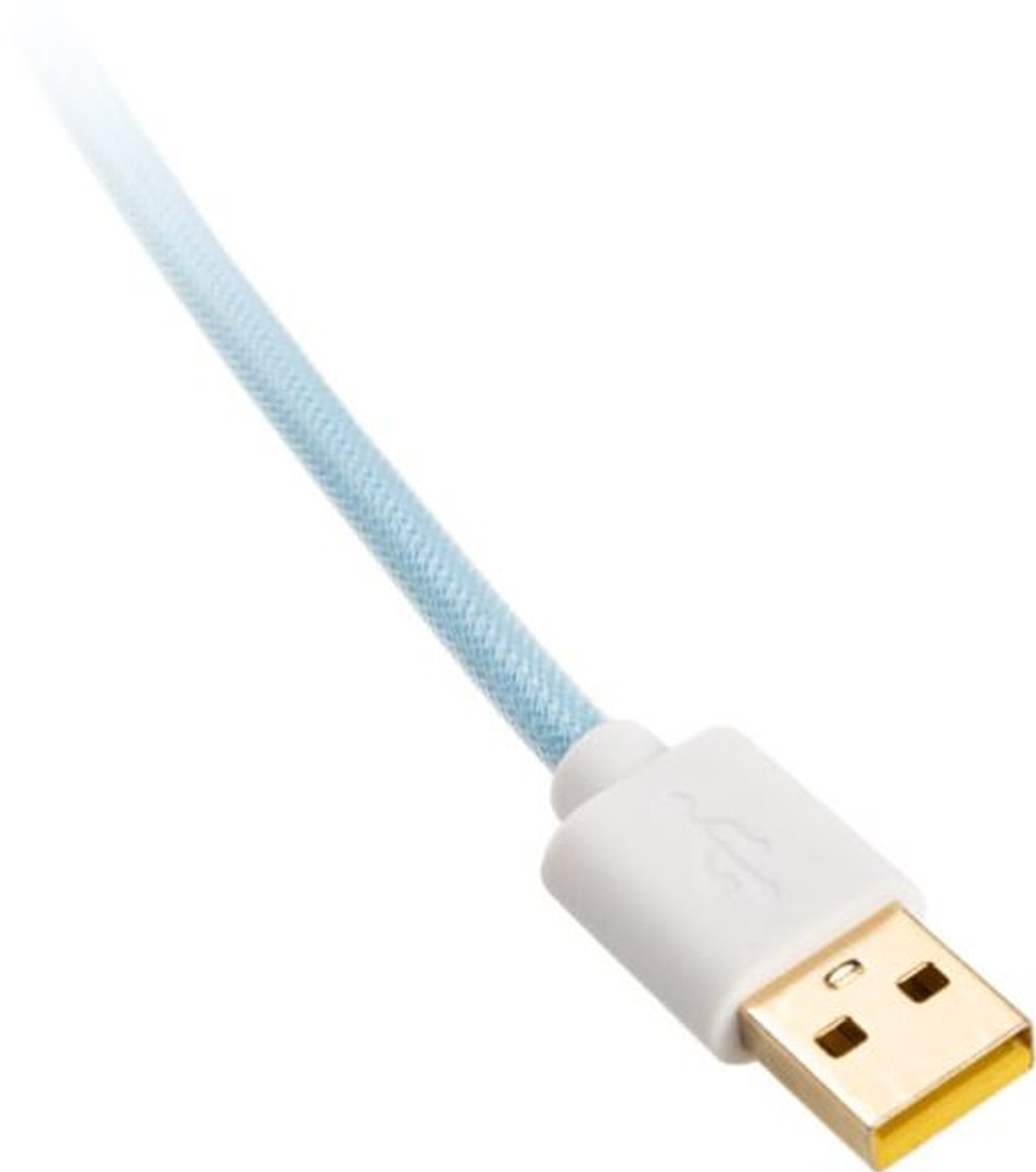 Ein hellblaues USB-Kabel mit weißem Stecker und goldenem USB-Anschluss auf weißem Hintergrund.
