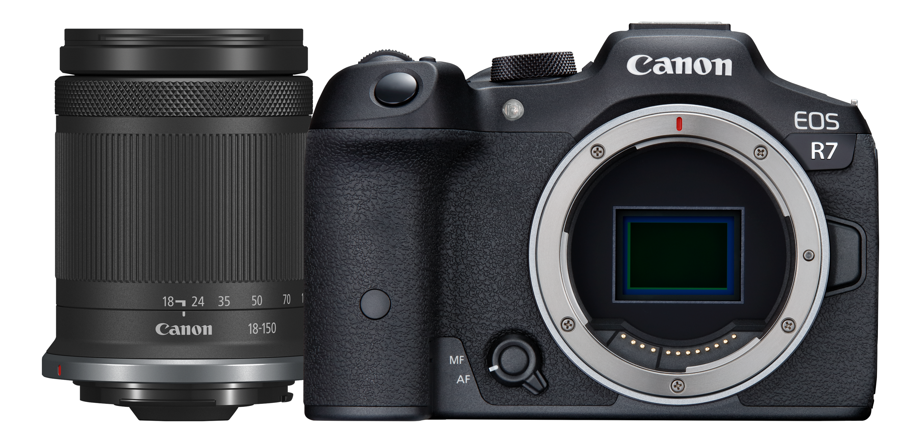 CANON EOS R7 + RF-S 18-150 mm f/3,5-6,3 IS STM