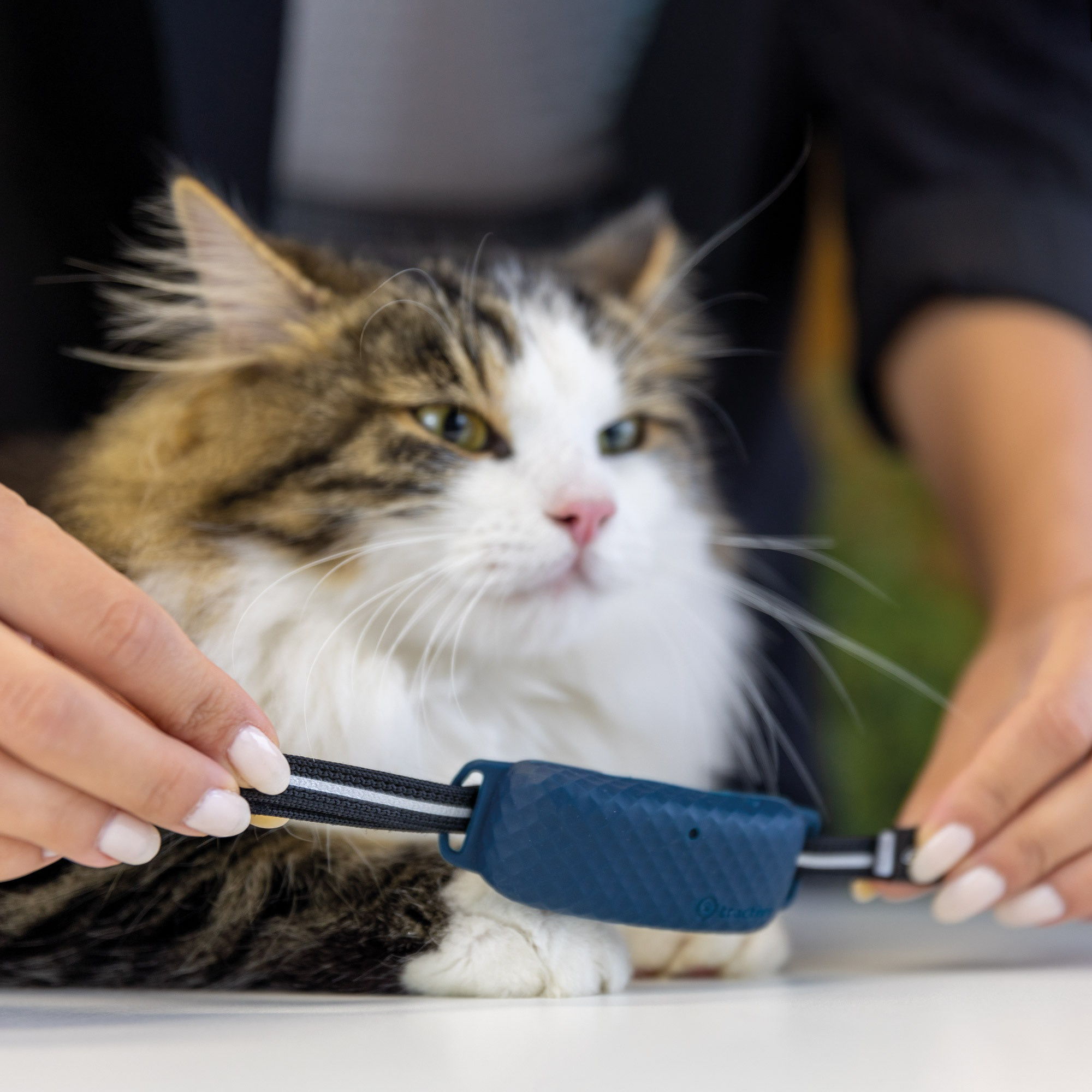 TRACTIVE GPS CAT 4 - Fixations pour collier (Noir/blanc)