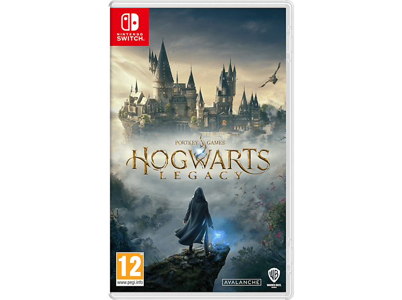 Warner Sw Hogwarts Legacy Nl/fr Switch