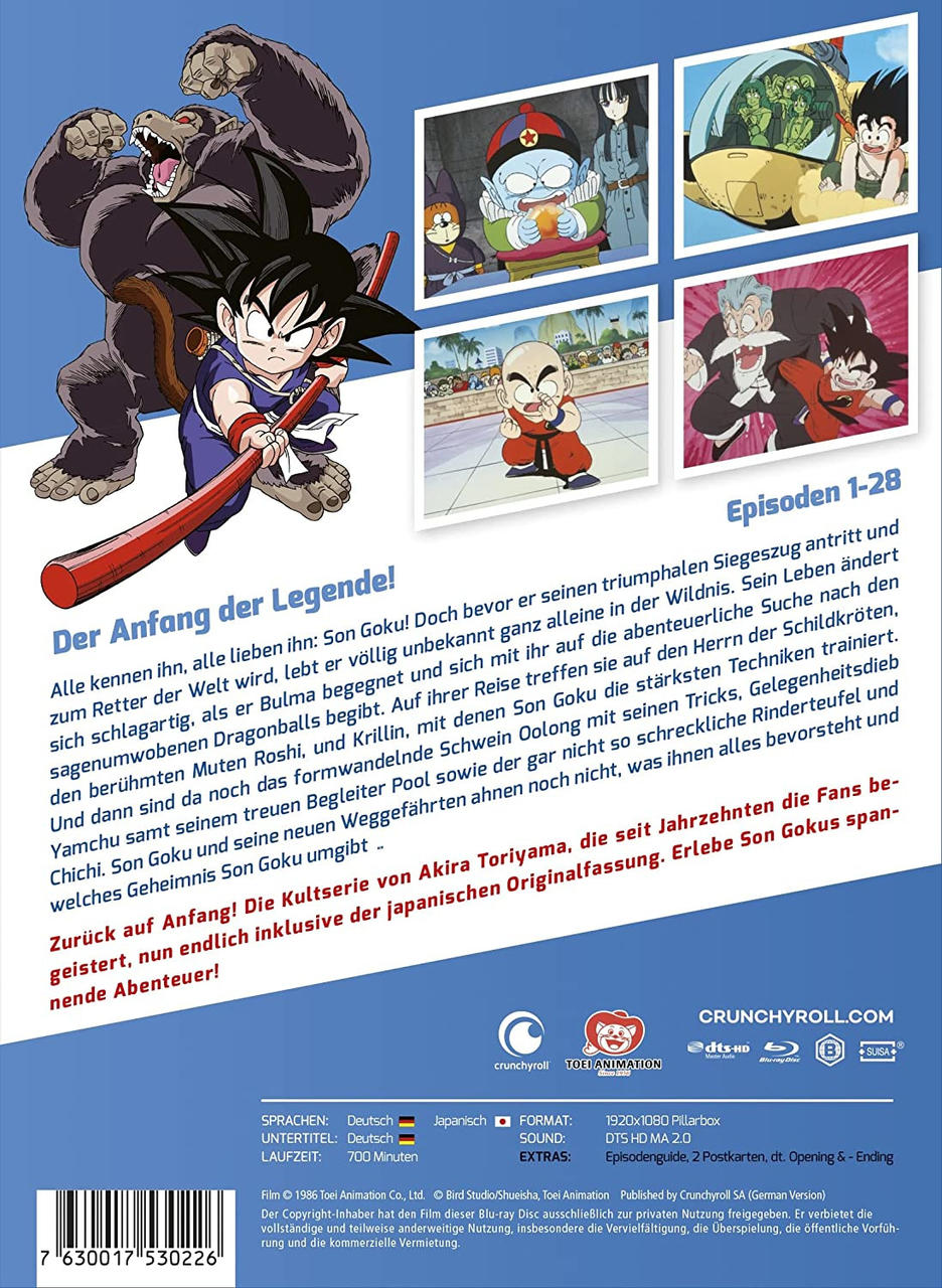 Anime-DVD-Cover mit Charakteren. Goku hält einen Stab. Andere Charaktere in kleinen Kästchen. Text auf Deutsch.