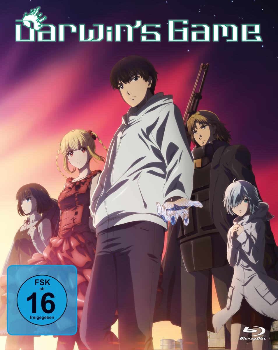 Anime-Charaktere stehen vor einem Sonnenuntergang.