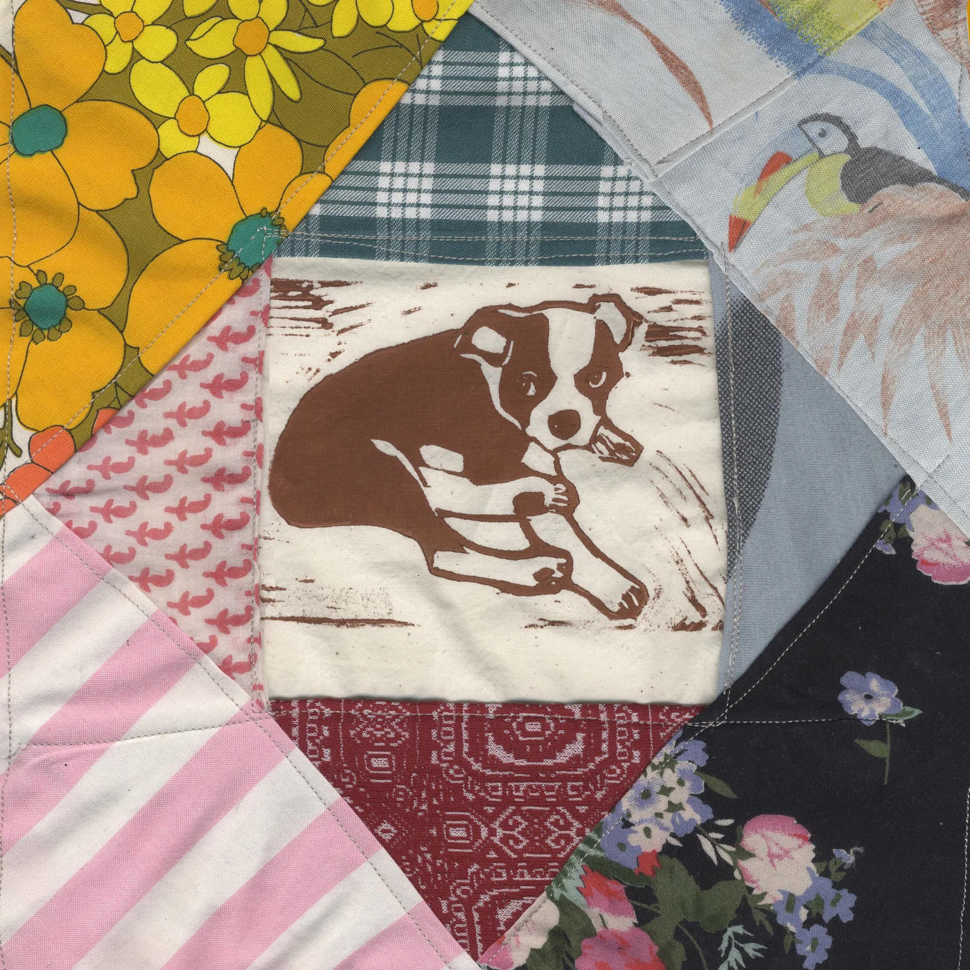 Mapache - Roscoe's Dream  - (CD)