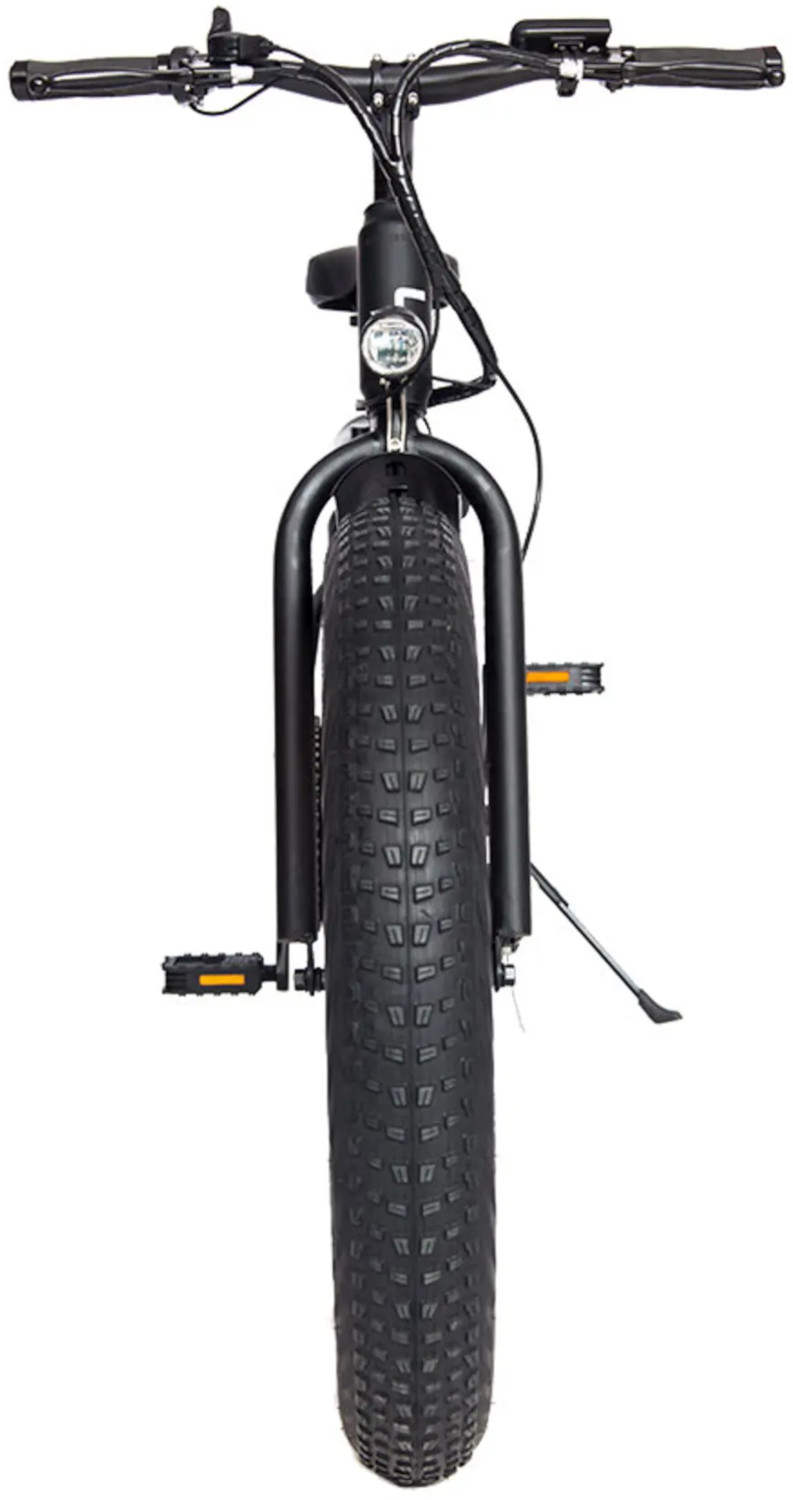 SKATEFLASH Fat - E-Bike (SKAFLFAT)