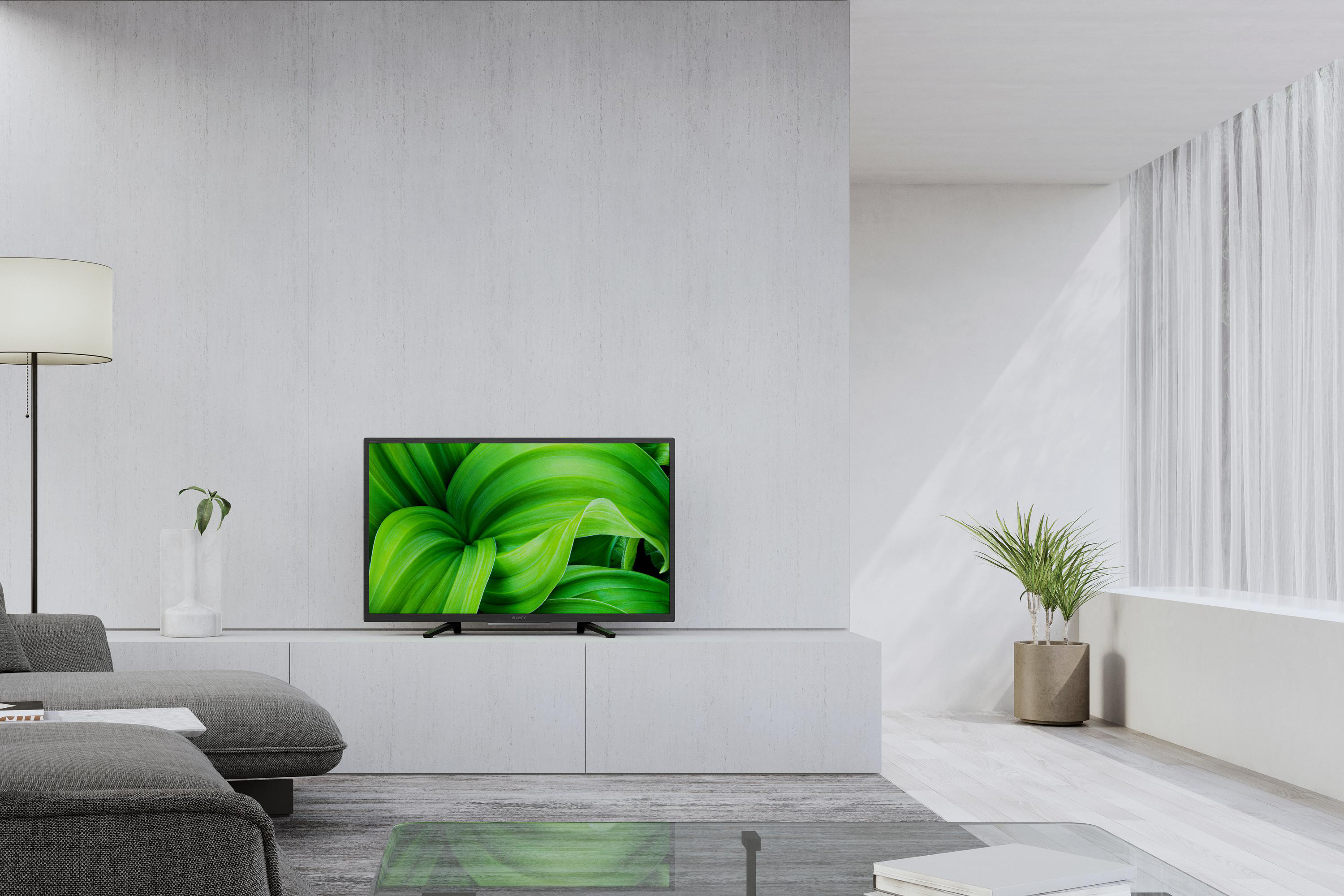 Modernes Wohnzimmer mit Fernseher, der ein grünes Pflanzenbild zeigt. Helle Farben und graues Sofa.