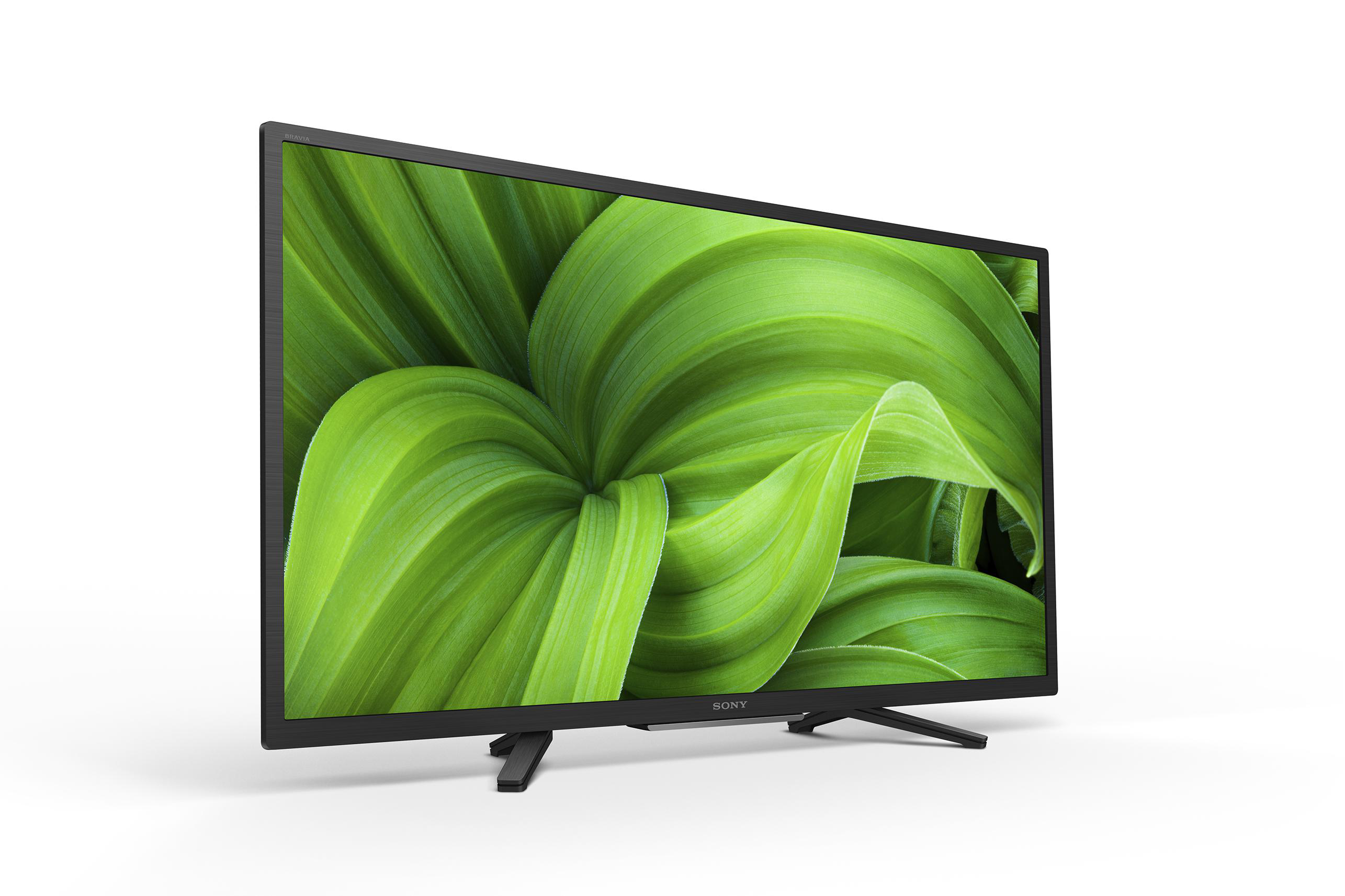 Sony-Fernseher mit grünem Blattbild auf dem Bildschirm, schwarzer Rahmen und Ständer, weißer Hintergrund.