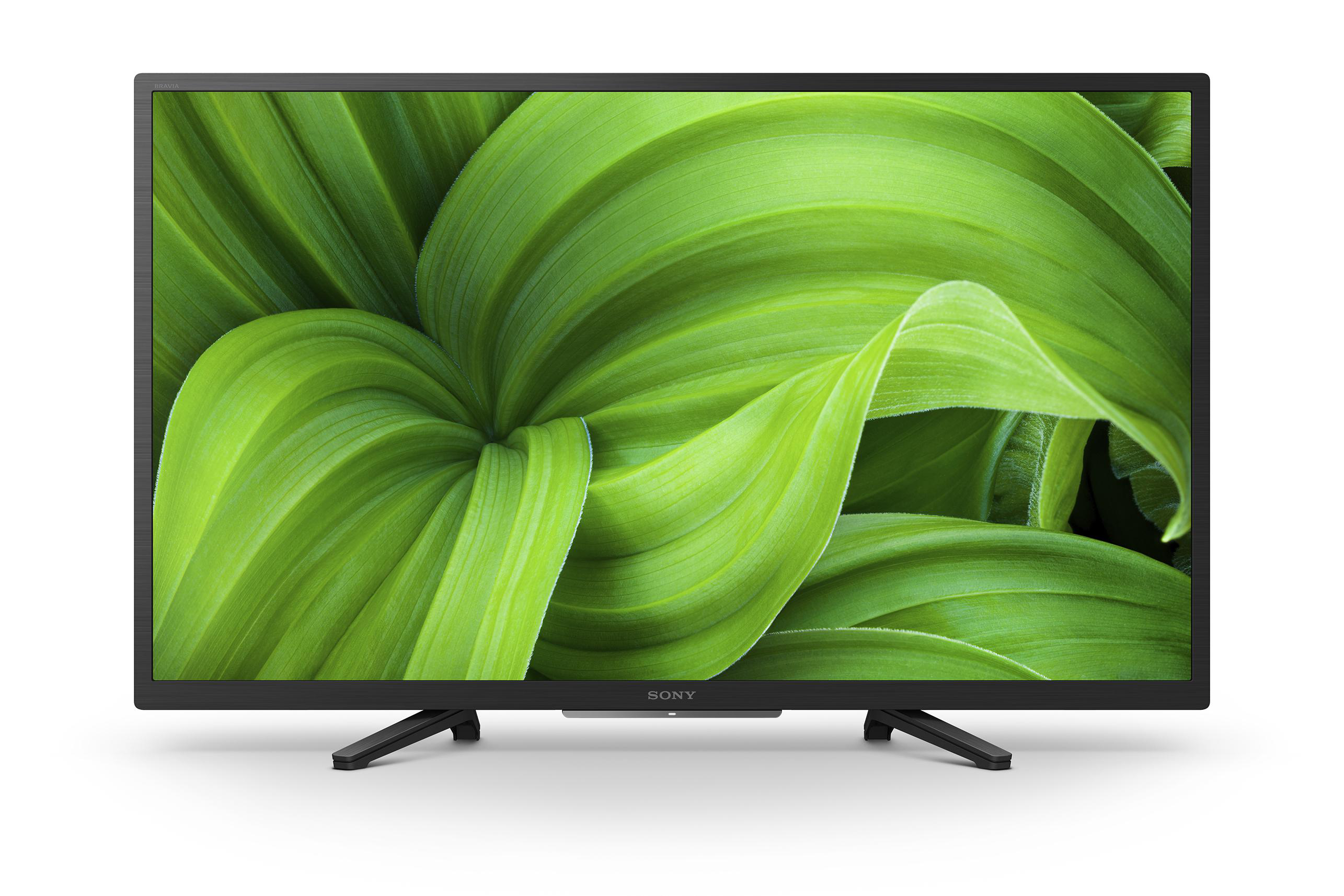 Fernseher mit einem Bild von grünen Blättern auf dem Bildschirm. Schwarzer Rahmen und Ständer. Weißer Hintergrund.