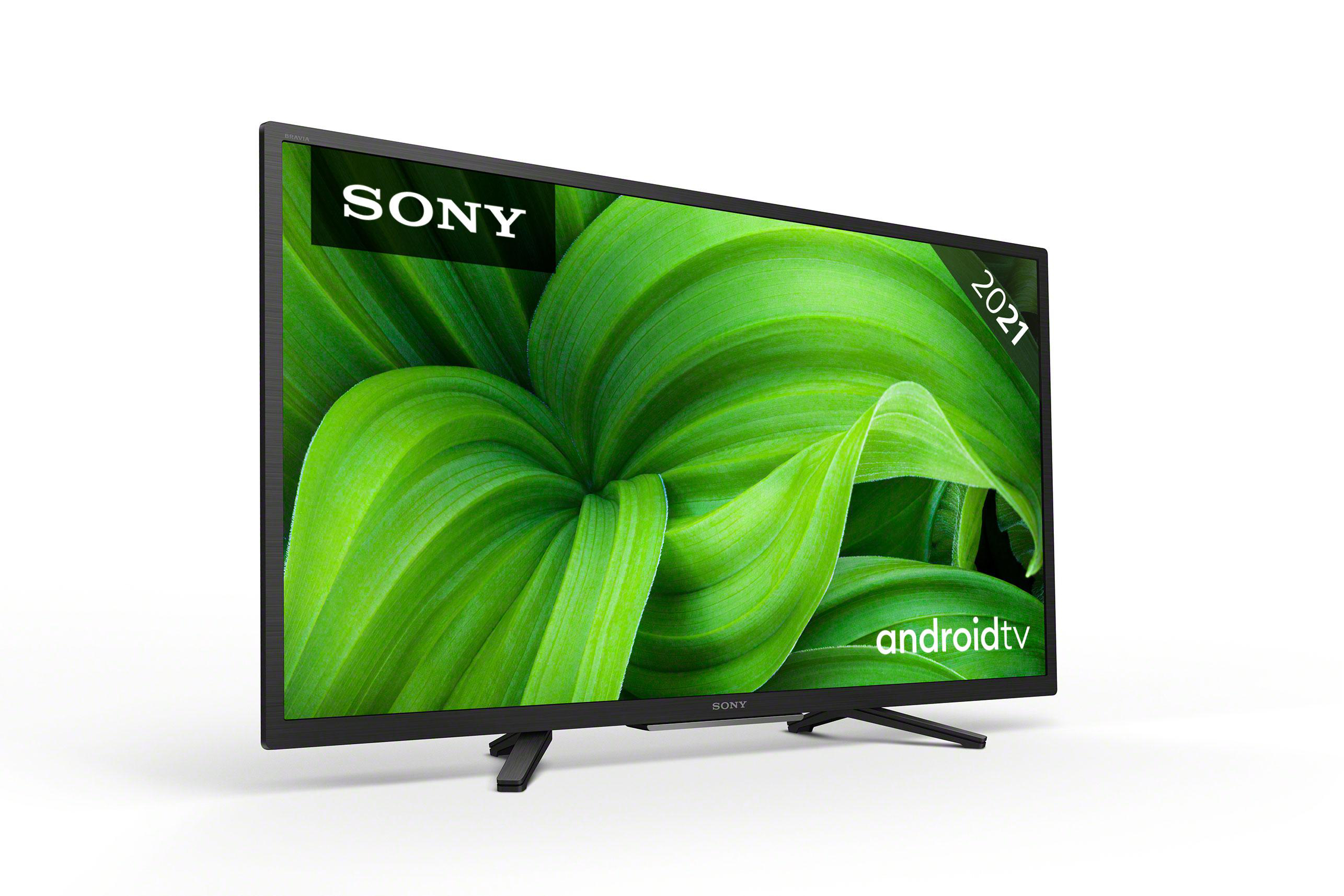 Ein SONY-Fernseher mit einem grünen Blattbild und dem Android TV-Logo.