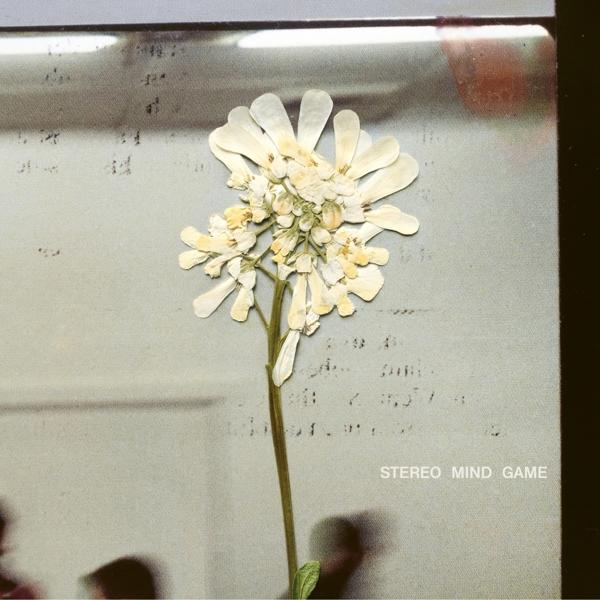 Getrocknete weiße Blume auf grauem Hintergrund. Die Worte 'STEREO MIND GAME' sind sichtbar.