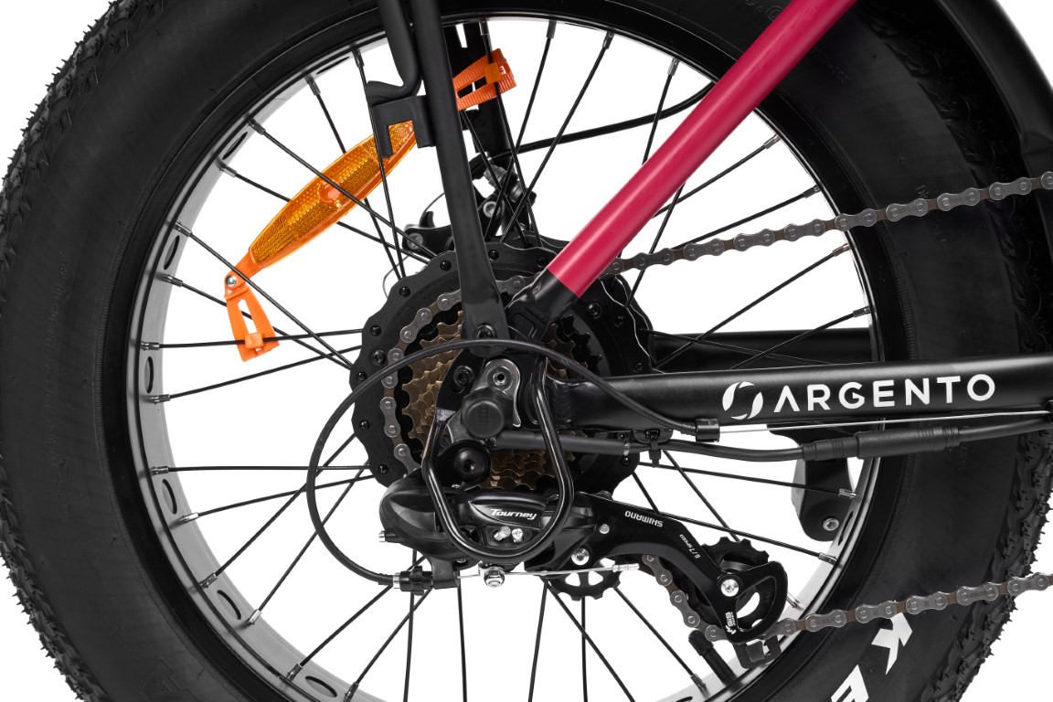 PLATUM E-Bike Bi Max 2022 (8052679456017)